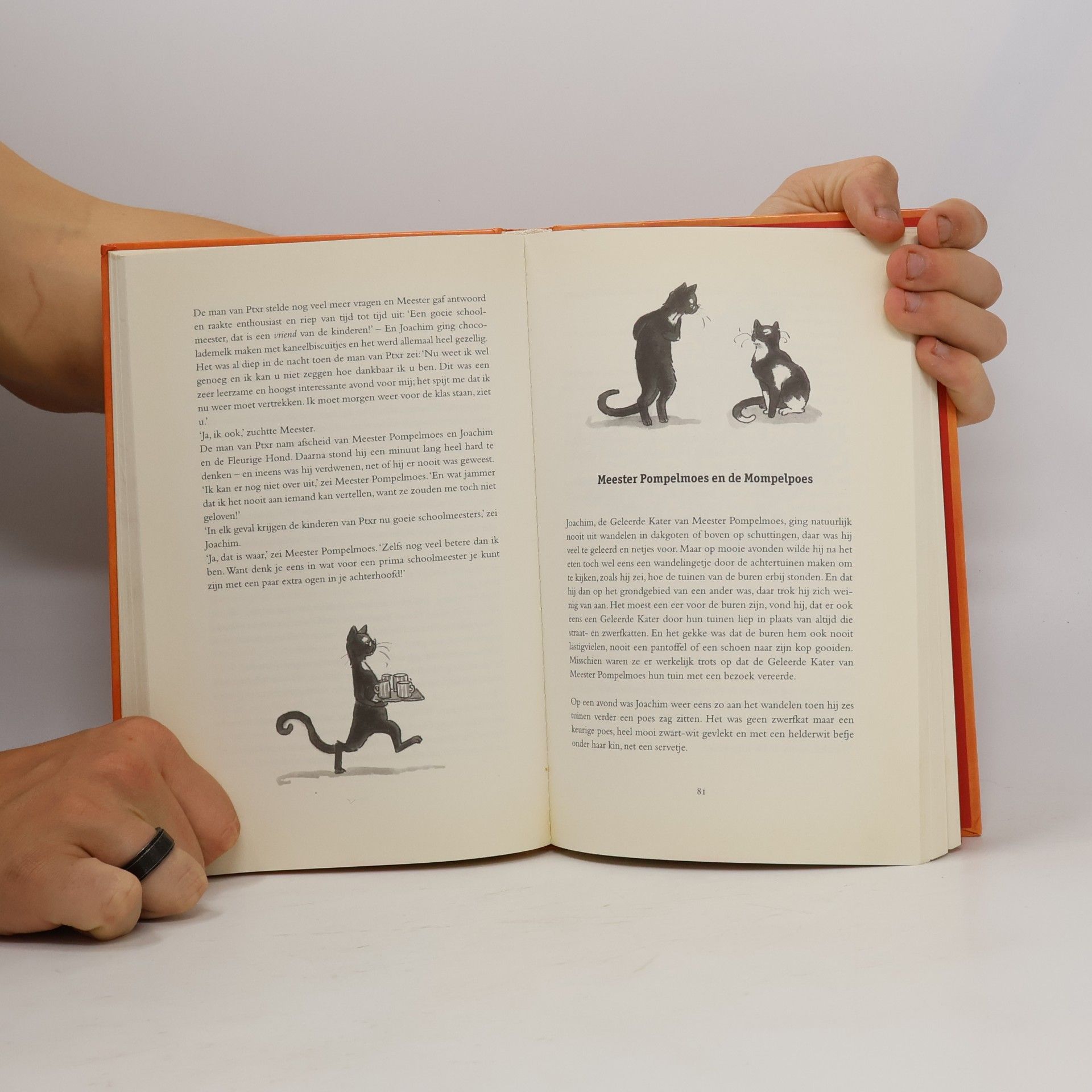 Andreus Hans Het grote boek van Meester Pompelmoes