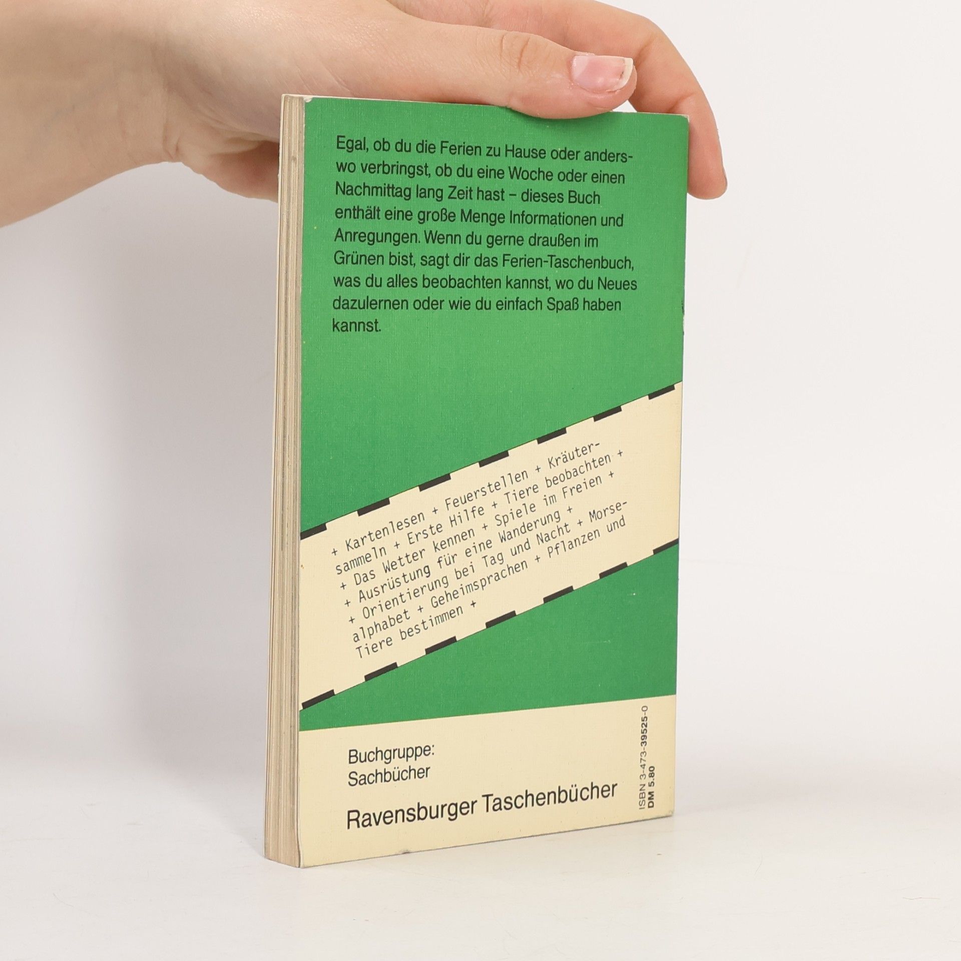 Cherrier Ferien-Taschenbuch - 525: Im Grünen