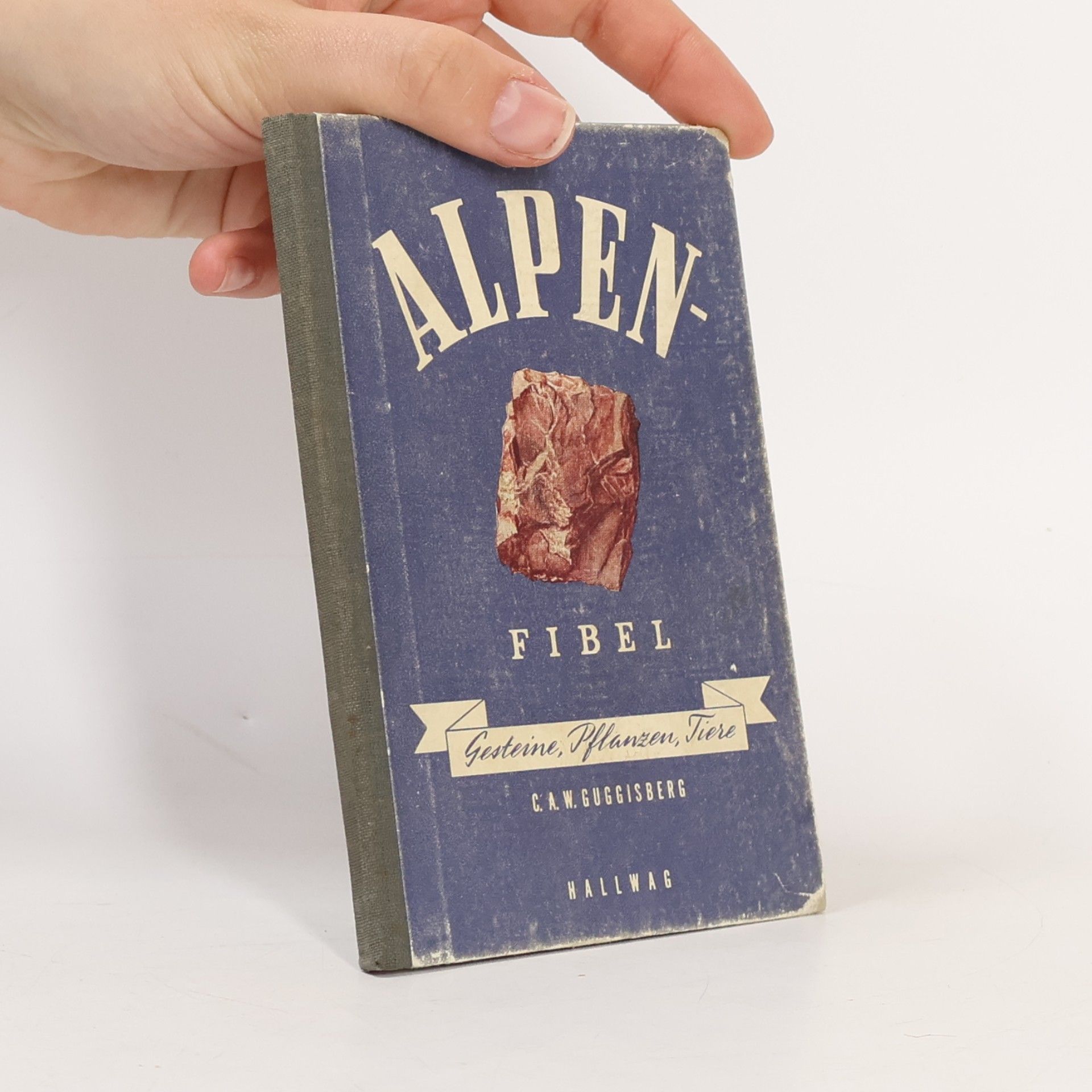 Alpen-Fibel