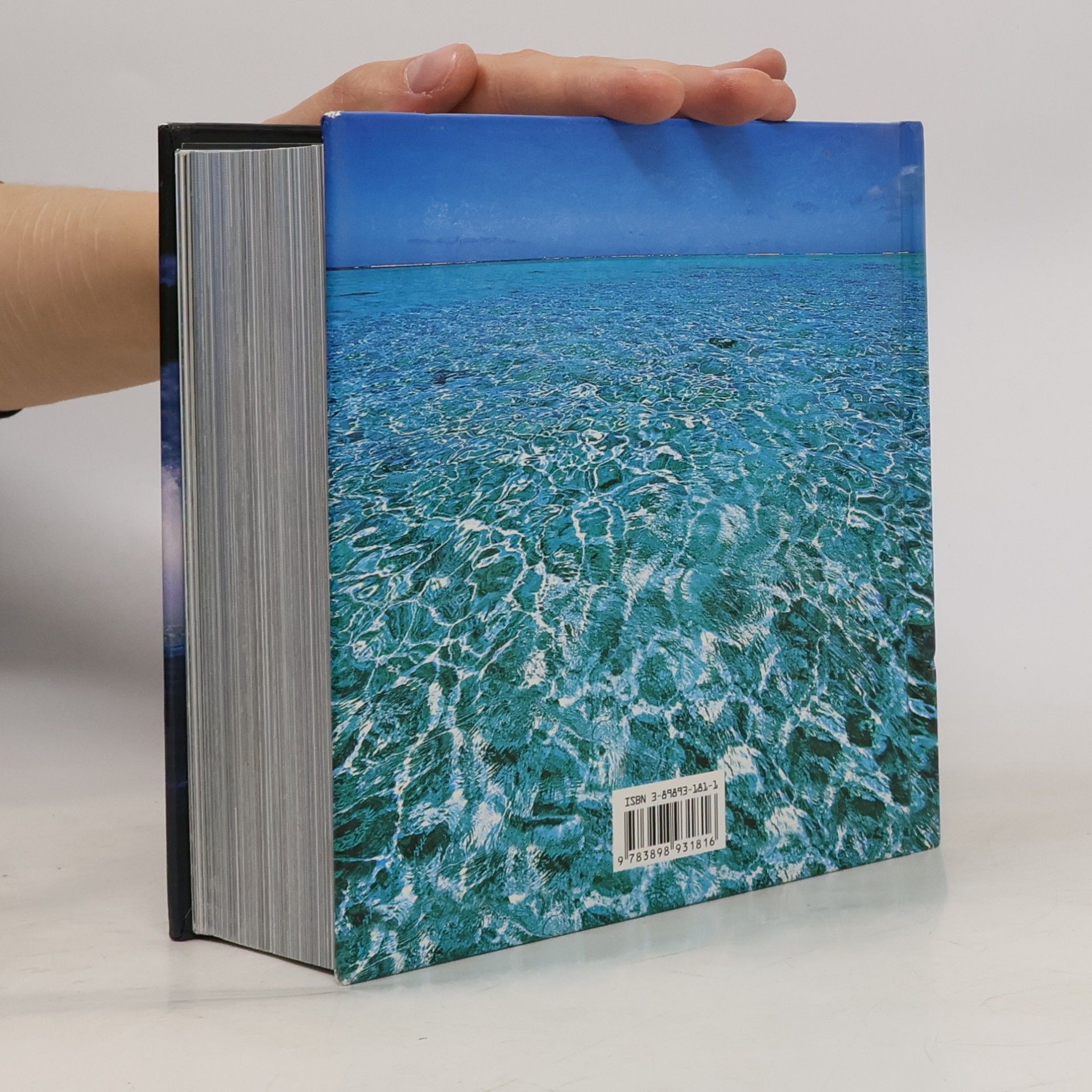 Gaetano Cafiero Das Meer