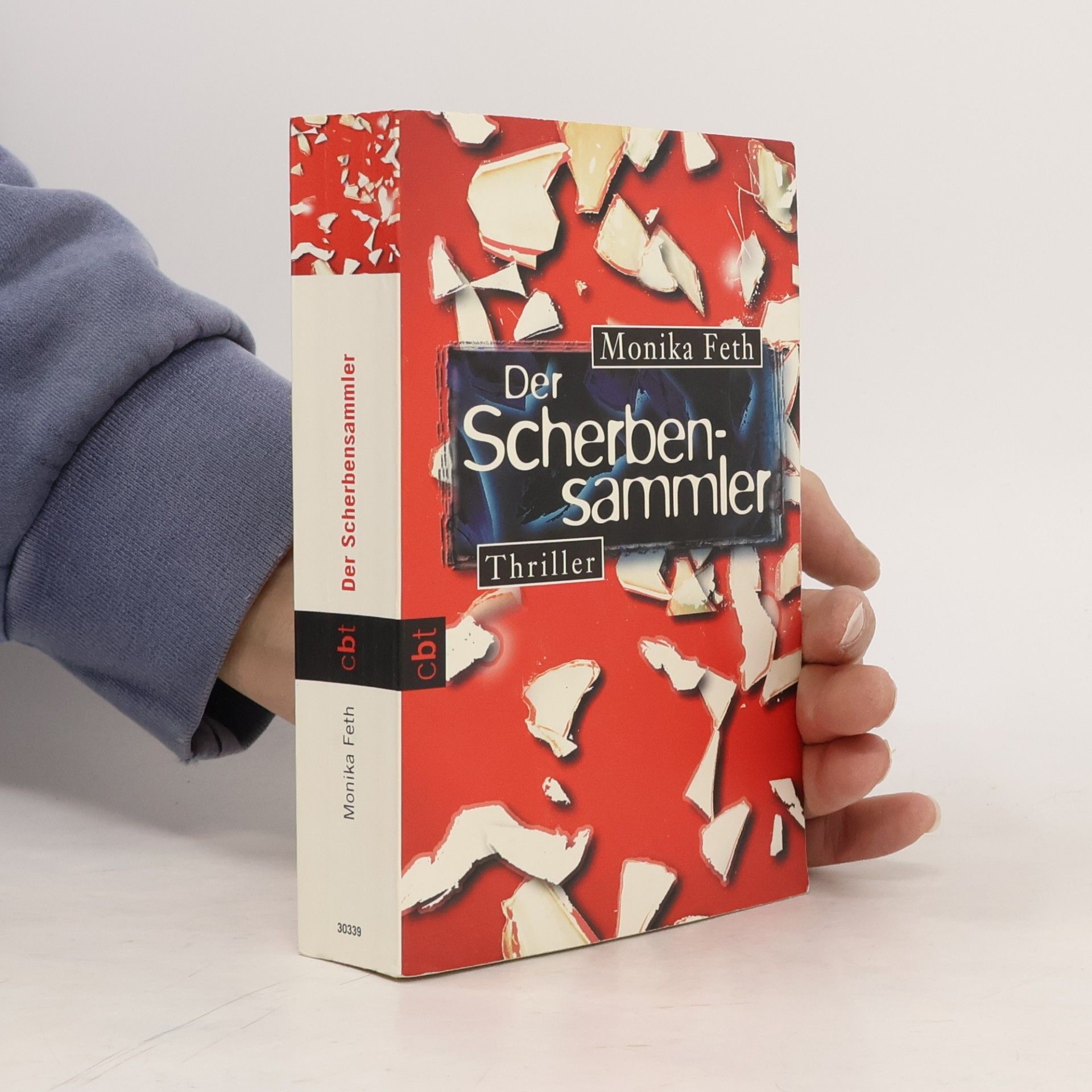 Der Scherbensammler