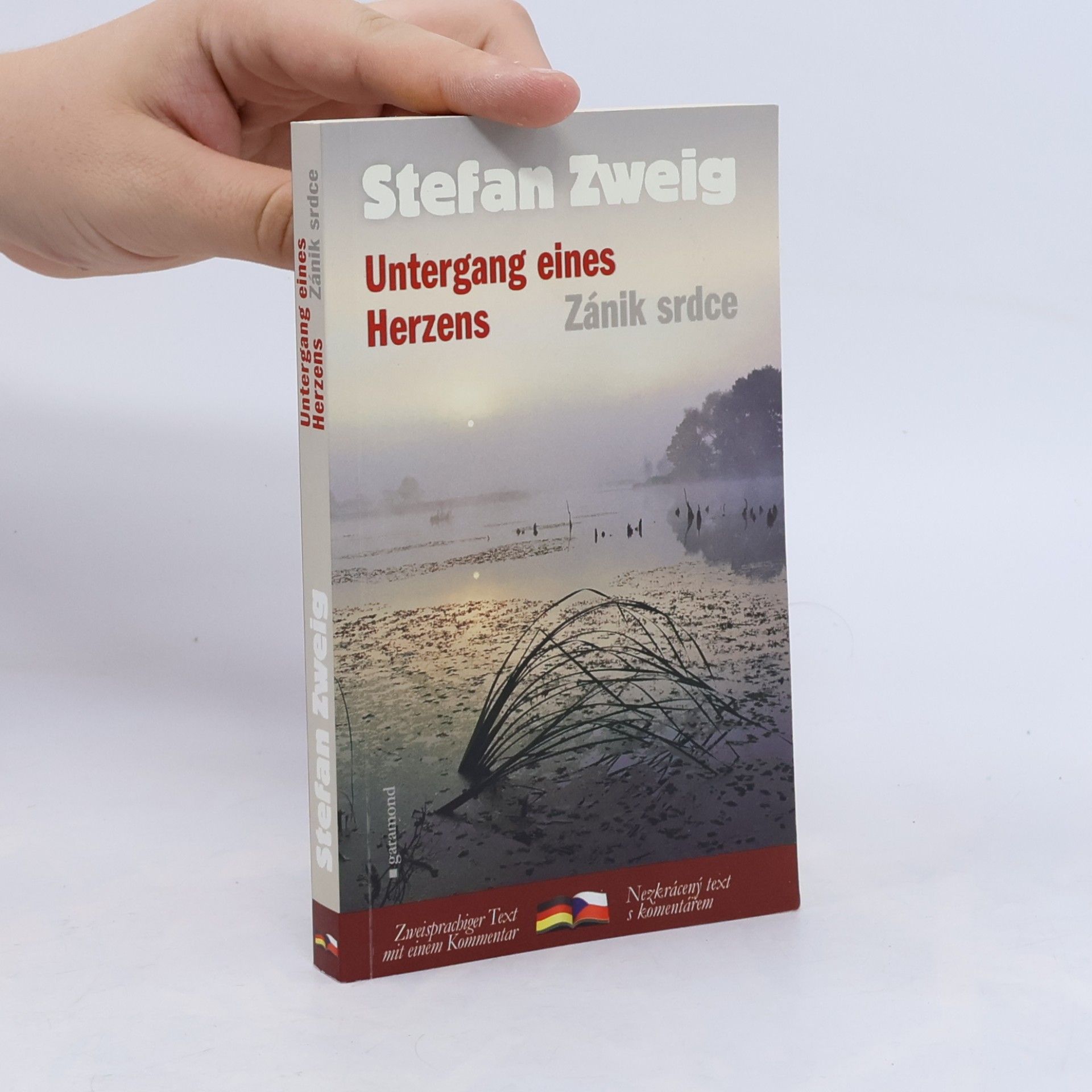 Untergang eines Herzens. Zánik srdce