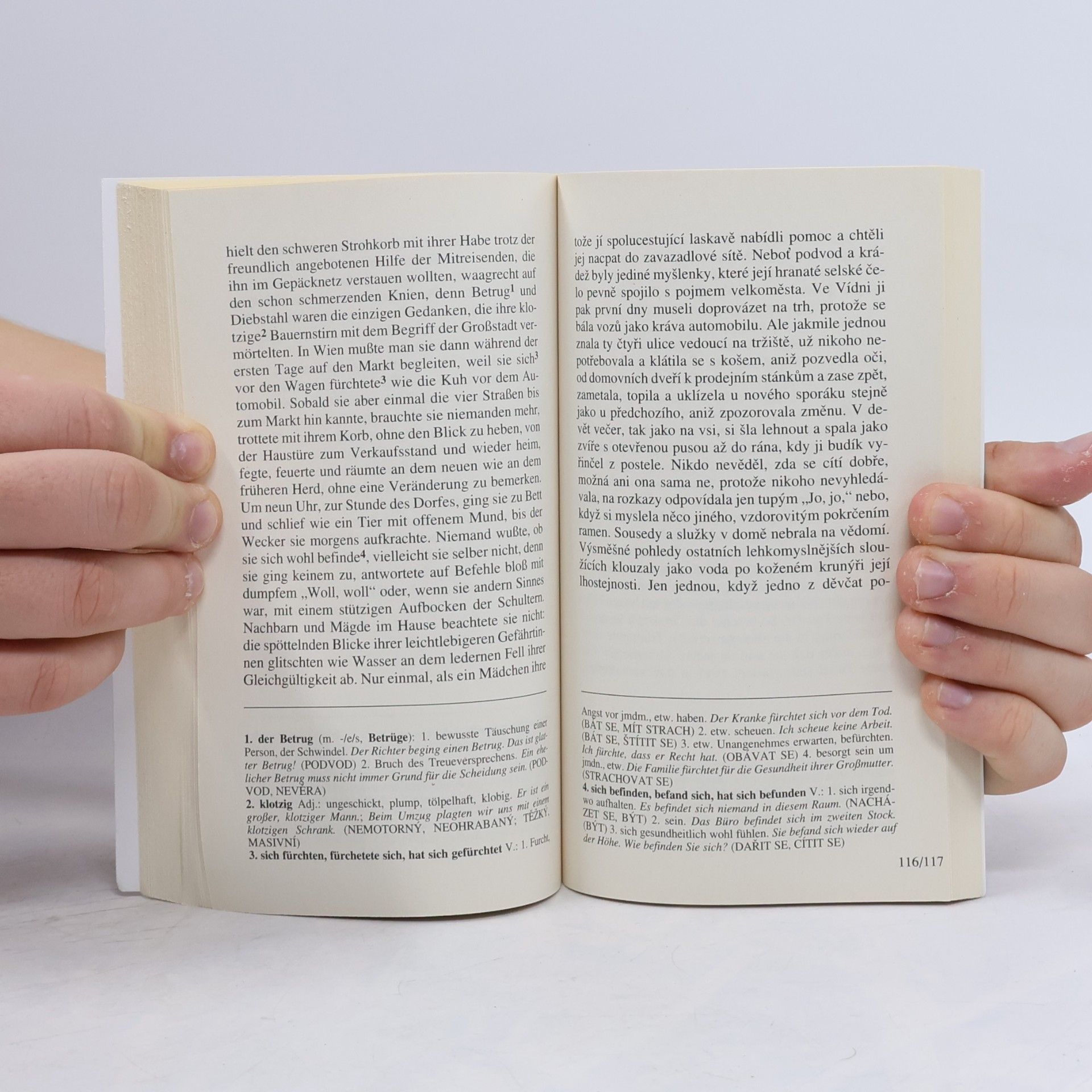 Stefan Zweig Untergang eines Herzens. Zánik srdce