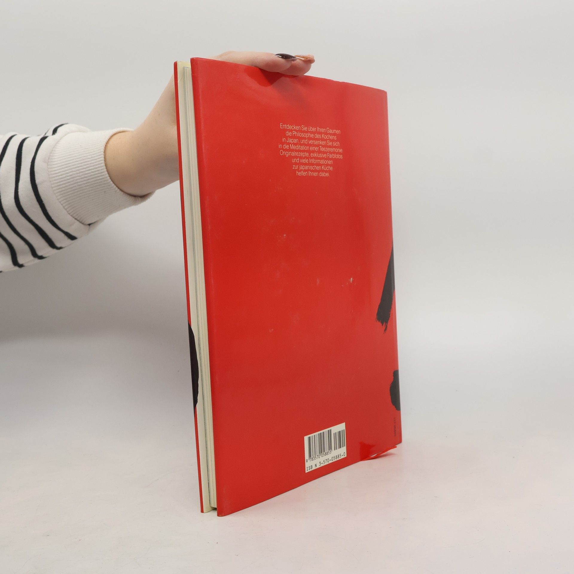 Haruyo Kataoka Kochbuch Japan