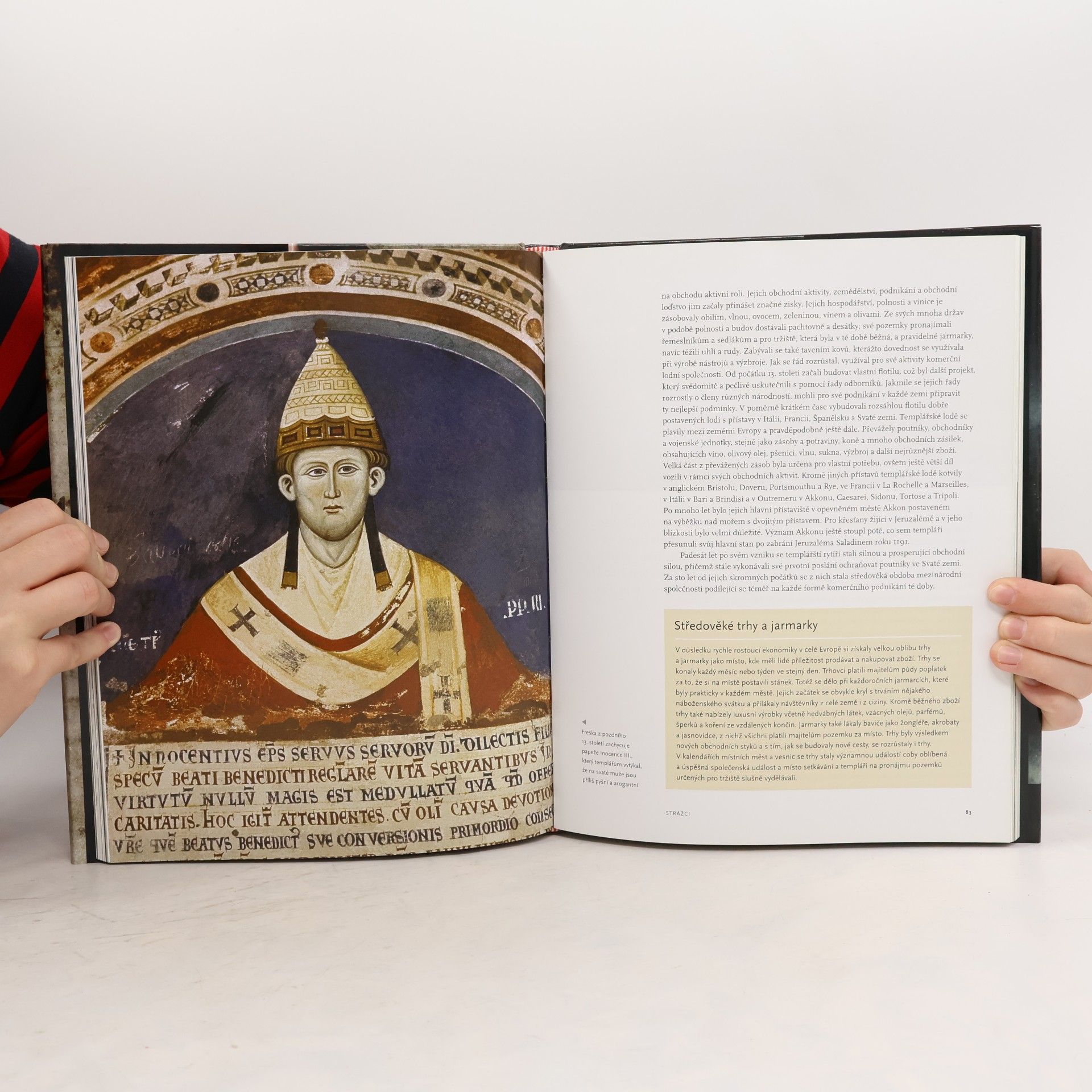 Susie Hodge Tajemství templářských rytířů