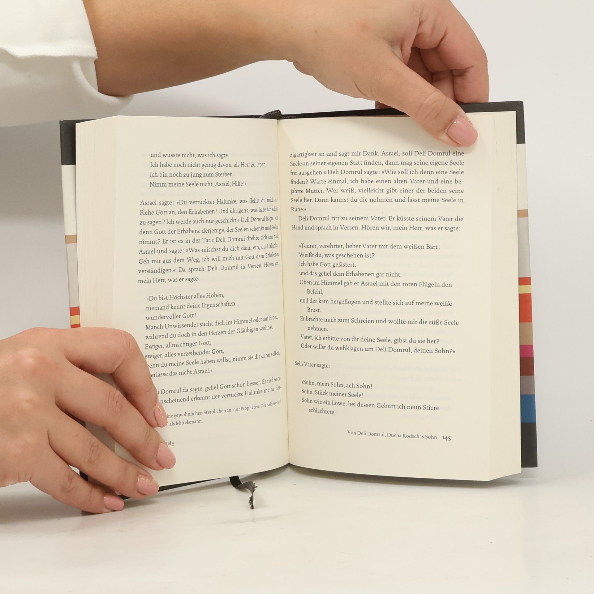 Hendrik E. Boeschoten Das Buch des Dede Korkut