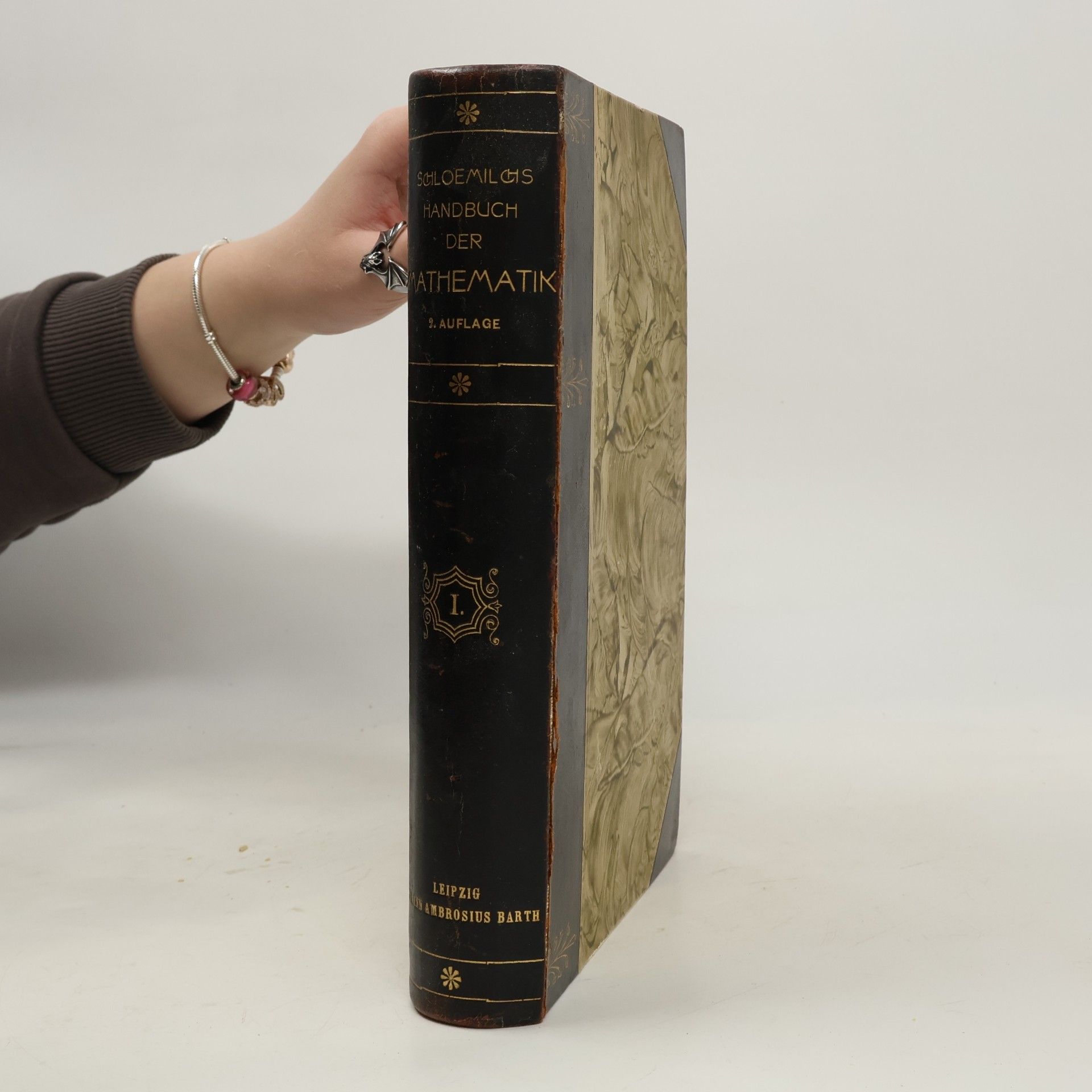 Schloemilch Handbuch der Mathematik
