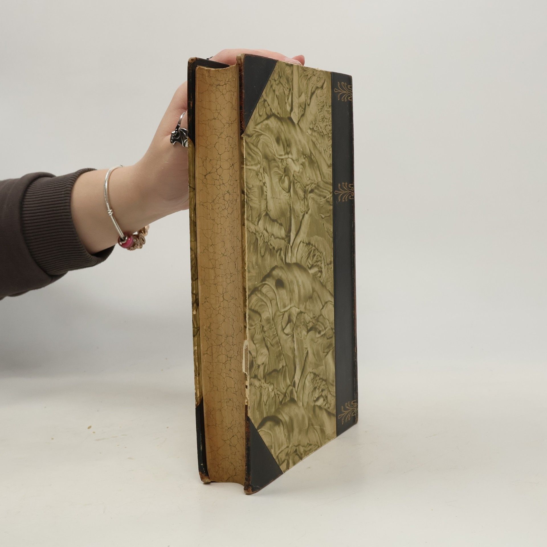 Schloemilch Handbuch der Mathematik