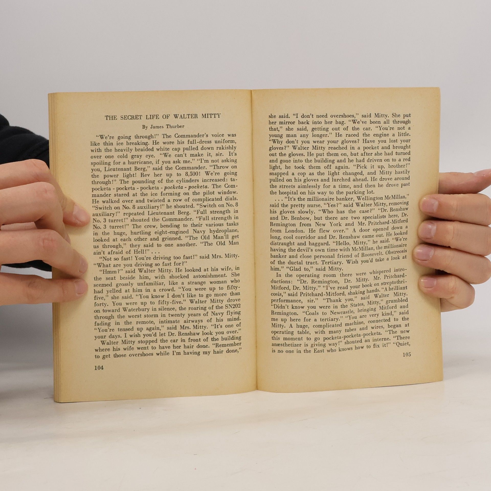 Theodor Wolpers American Short Stories 5.