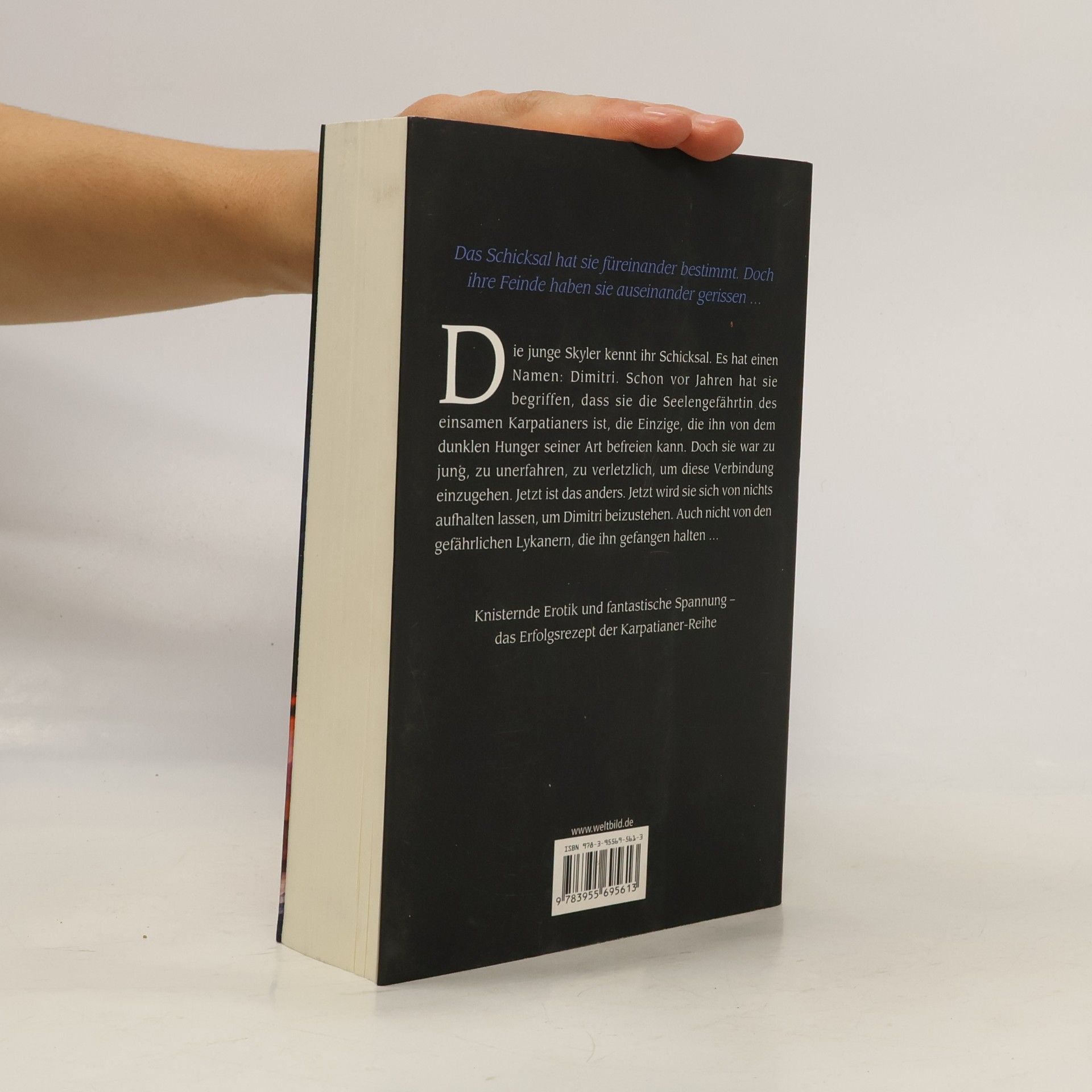 Christine Feehan Dunkler Wolf