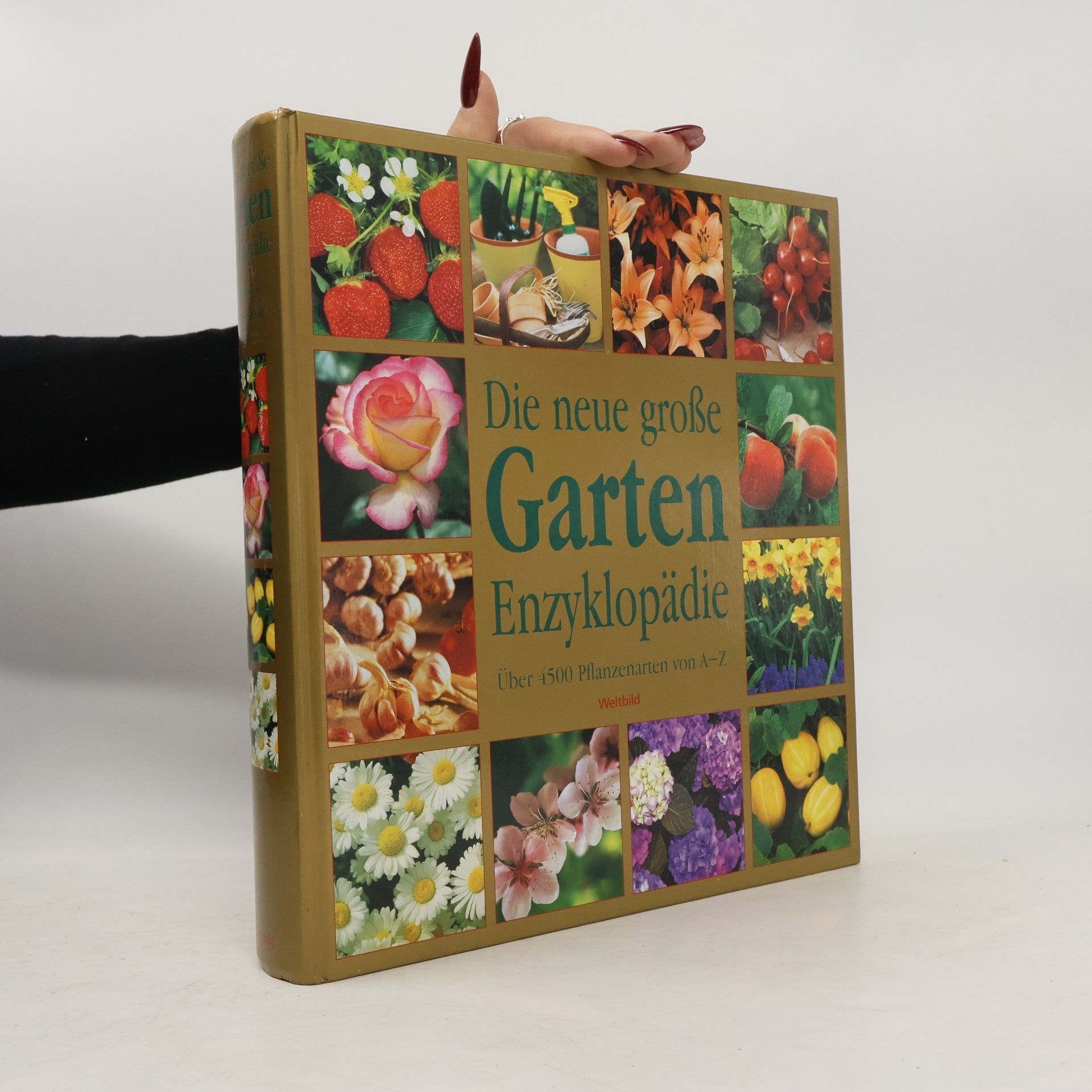 Rogers Juliet Und Kay Scarlet Die neue große Garten Enzyklopädie über 4500 Pflanzenarten von A - Z