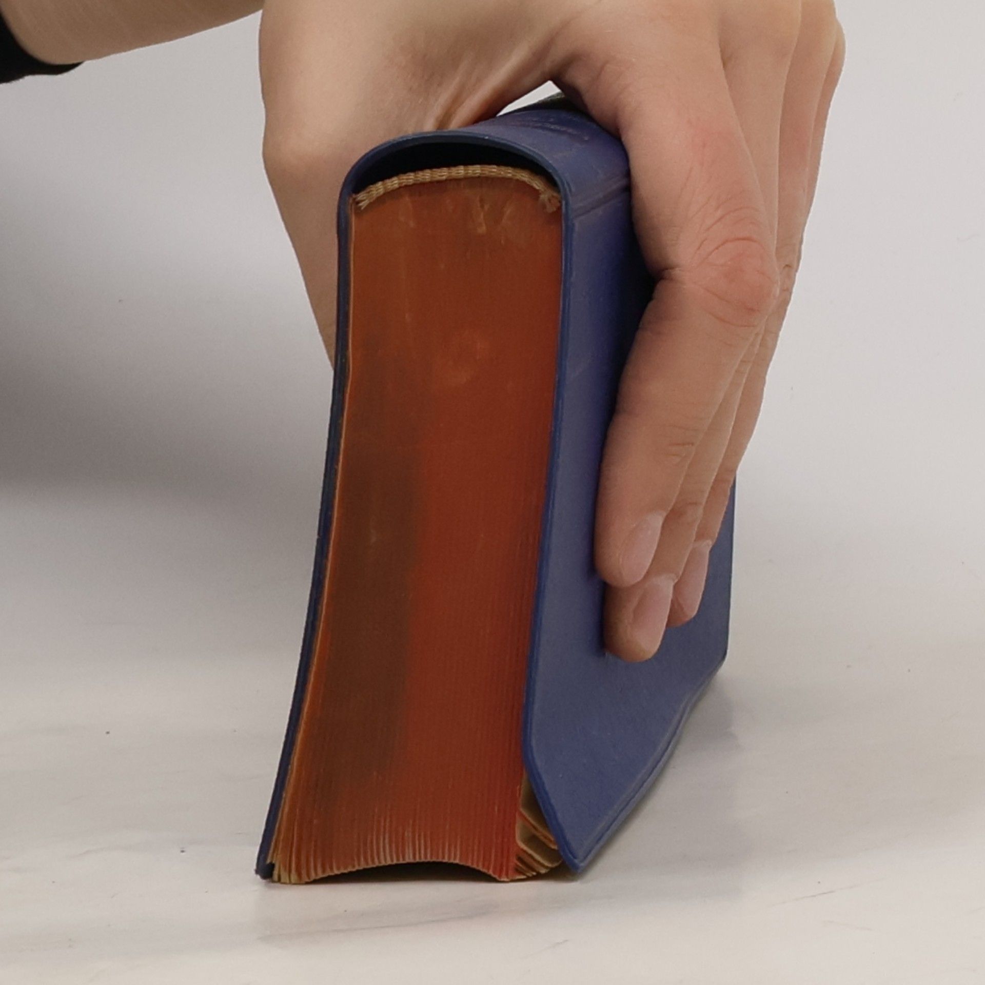 Waldemar Dickfach Langenscheidts Taschenwörterbücher
