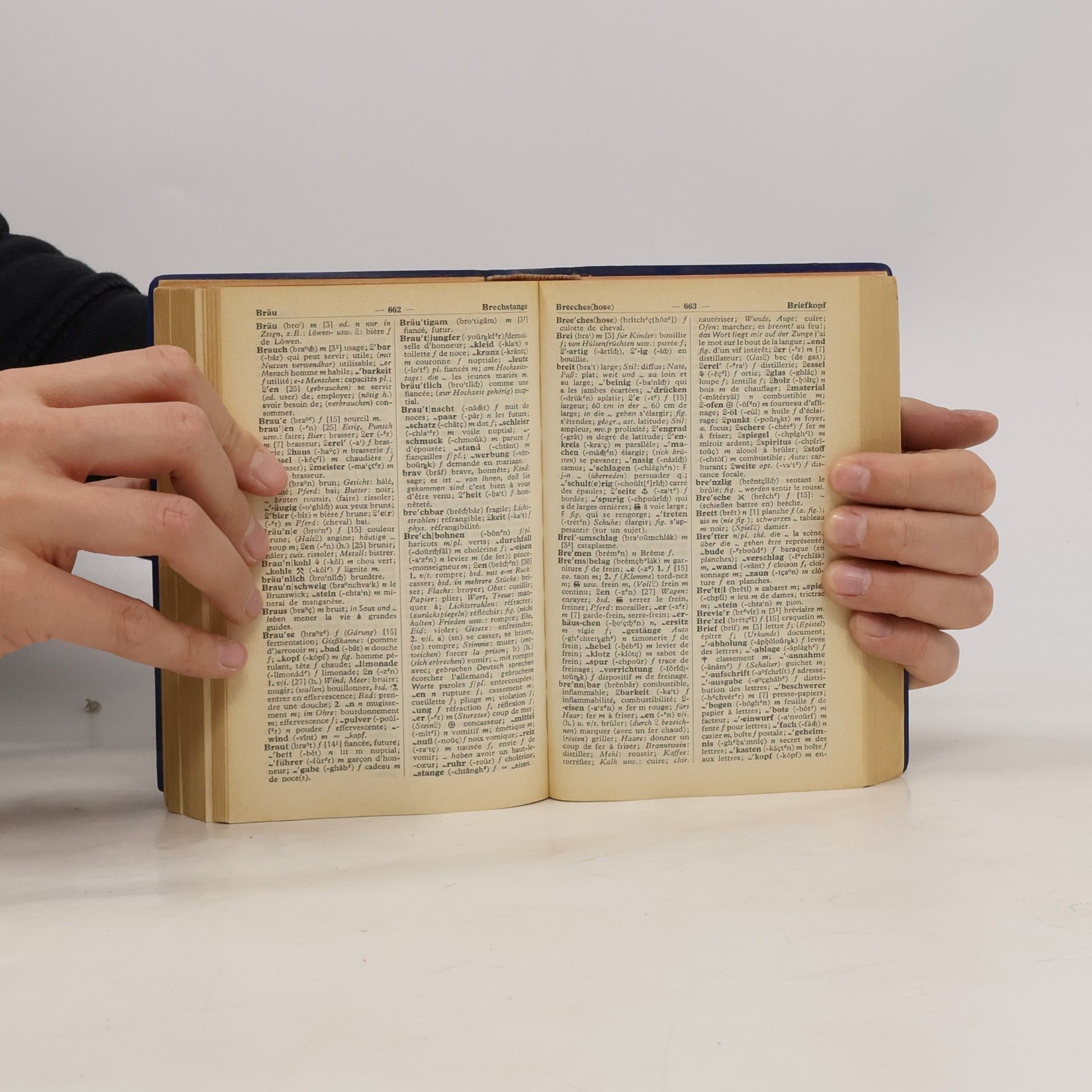 Waldemar Dickfach Langenscheidts Taschenwörterbücher