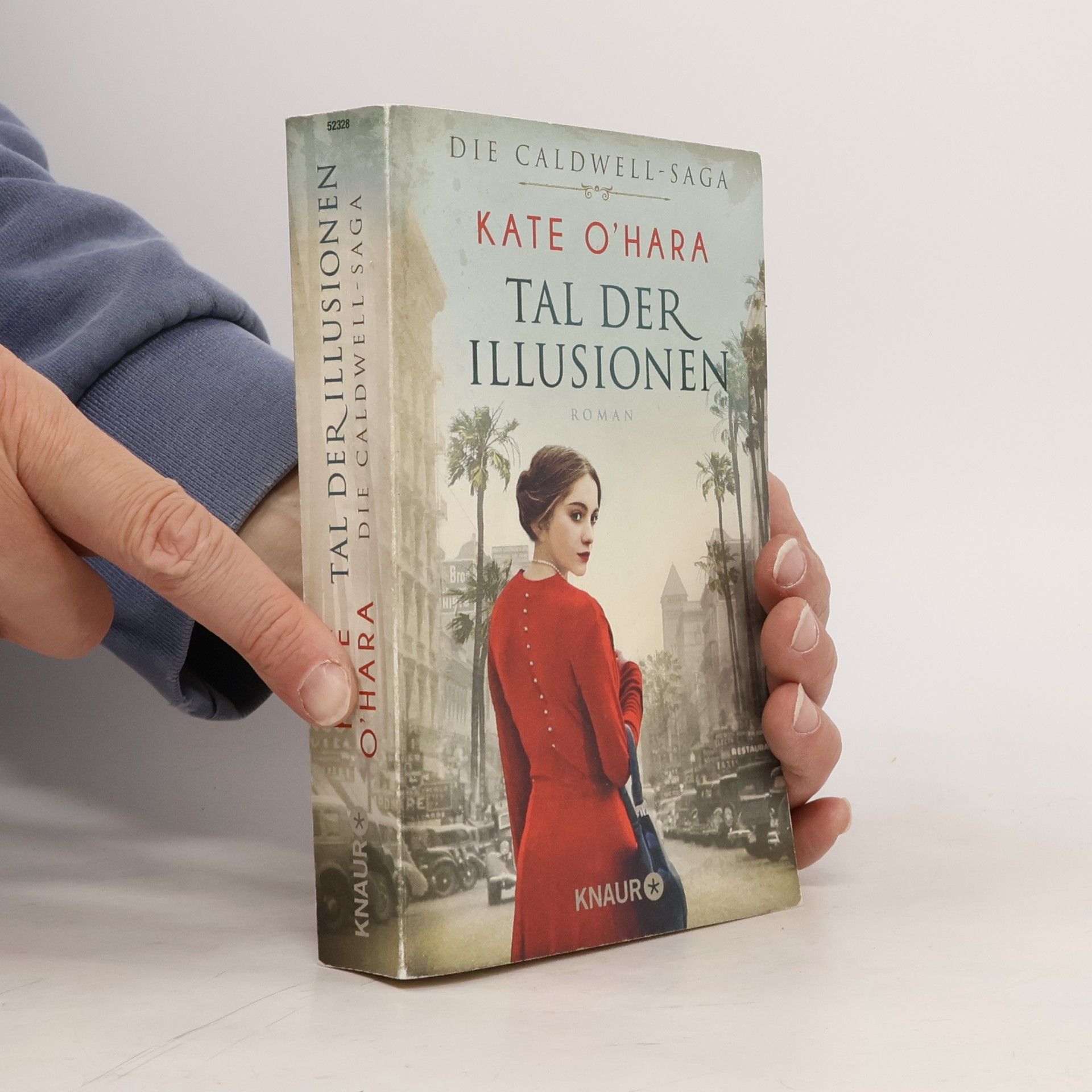 Kai Lippens Tal der Illusionen