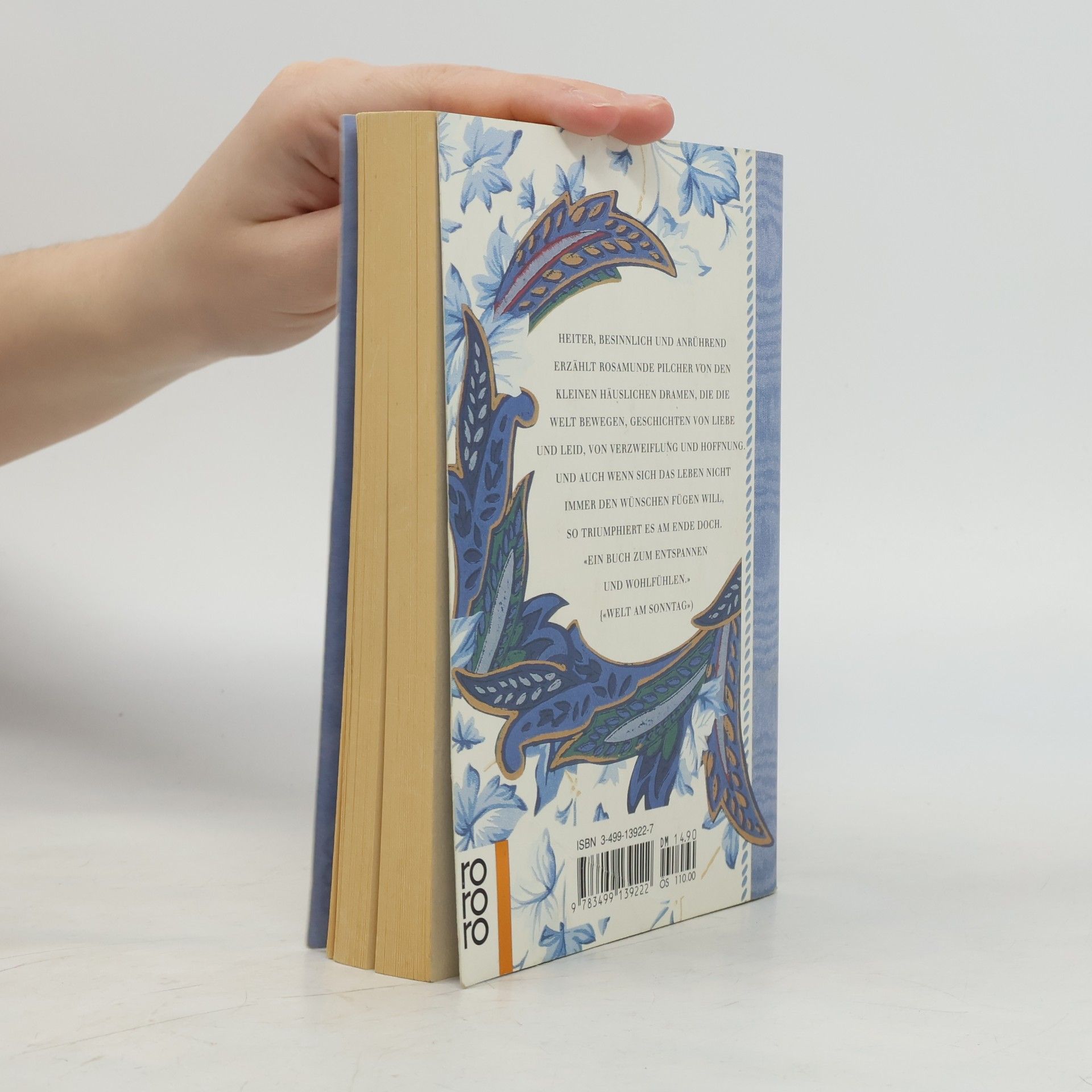 Rosamunde Pilcher Das blaue Zimmer