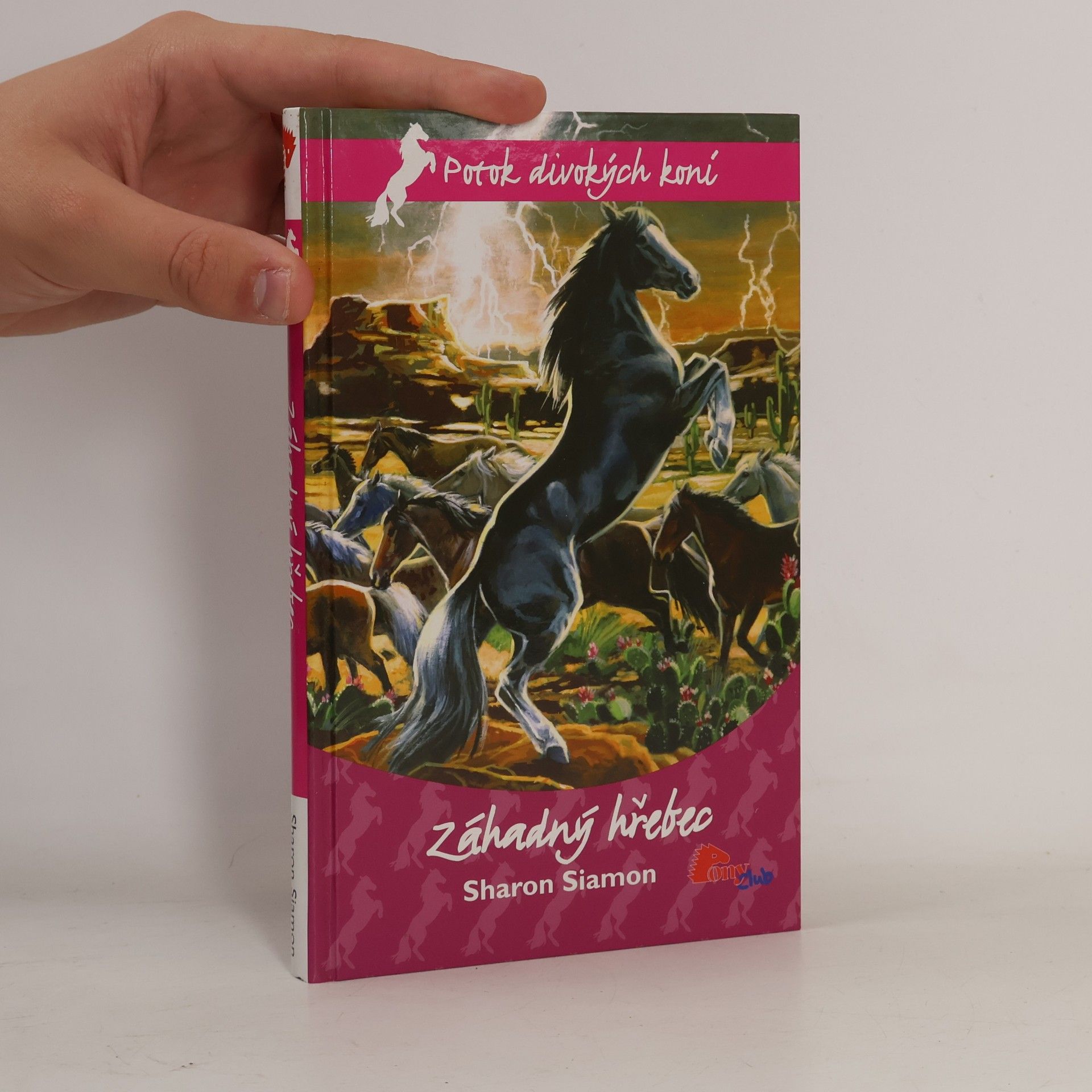 Sharon Siamon Záhadný hřebec