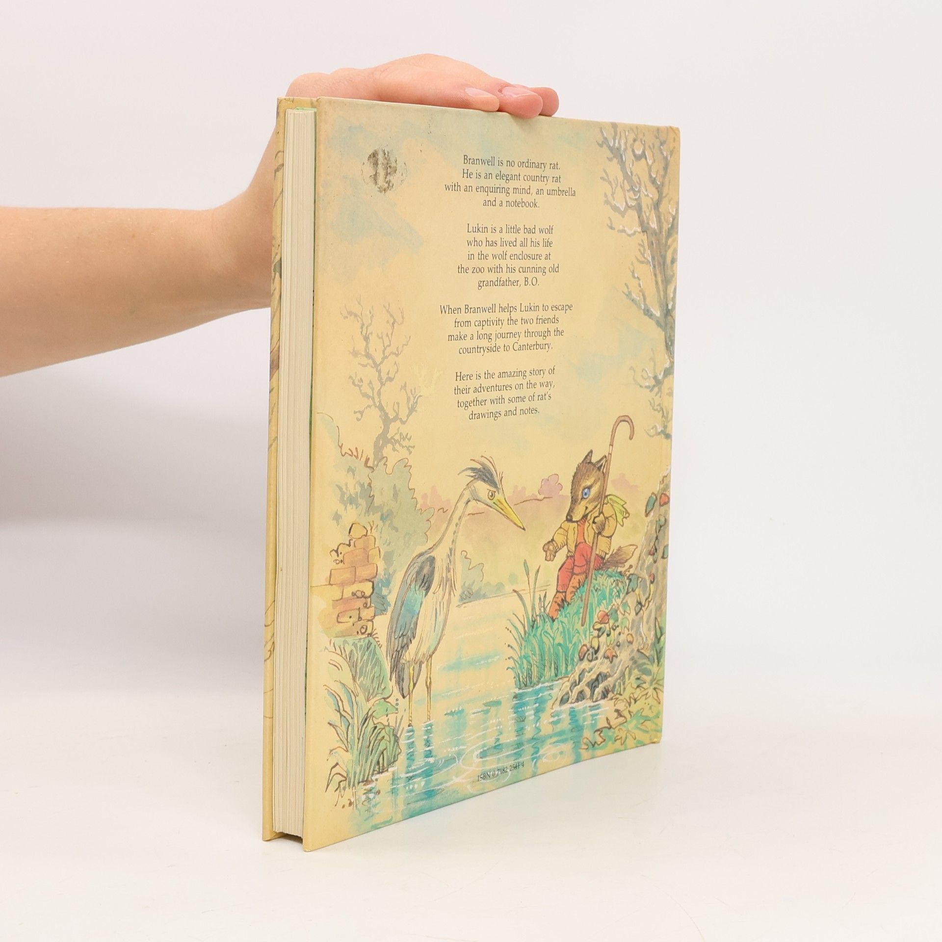 Peter Firmin The Winter Diary of a Country Rat