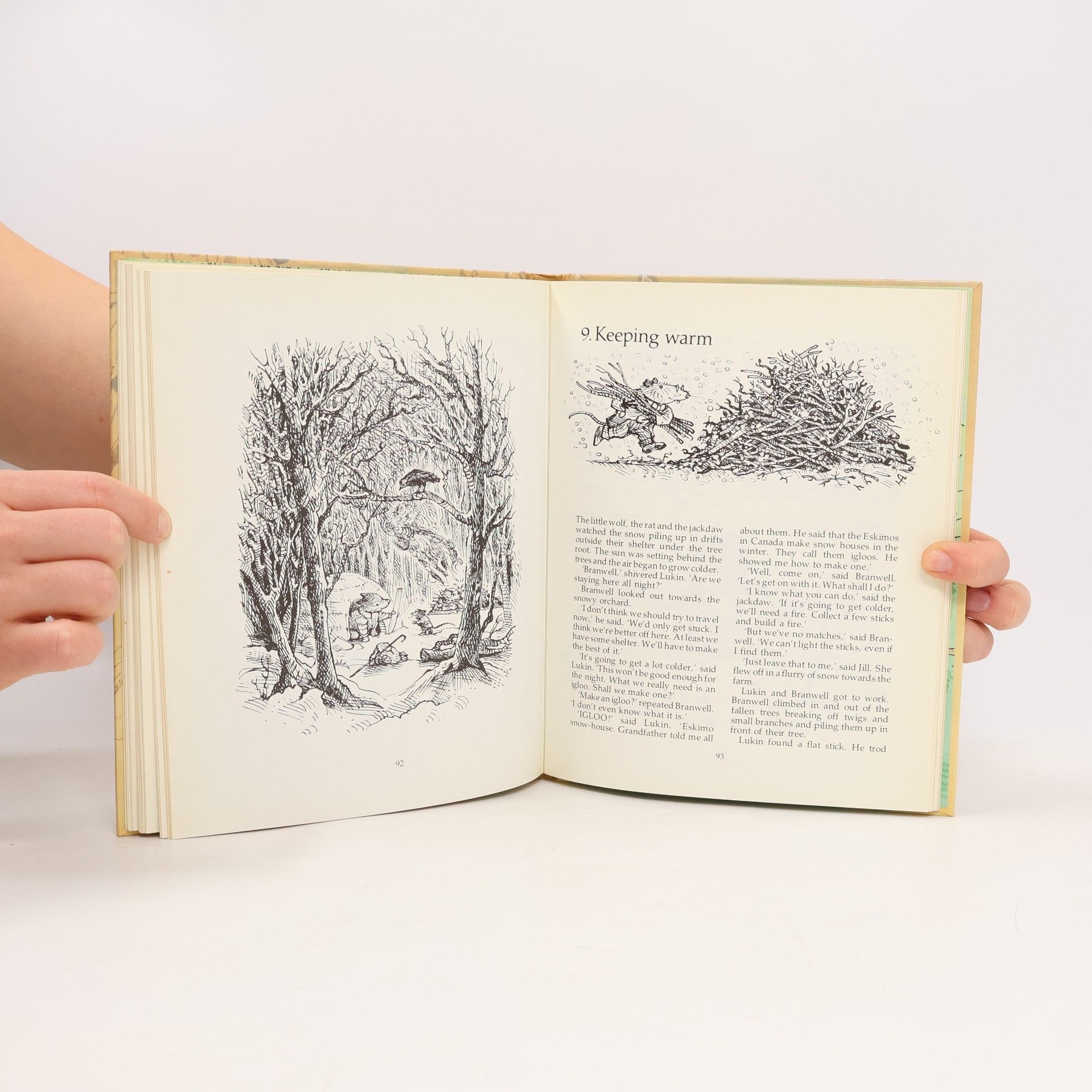 Peter Firmin The Winter Diary of a Country Rat