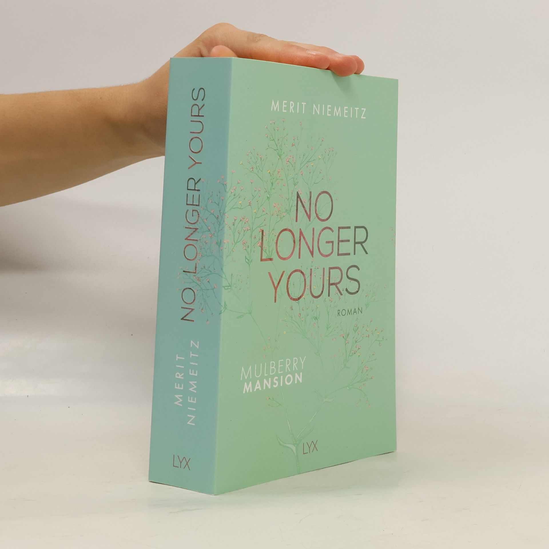 Merit Niemeitz No Longer Yours