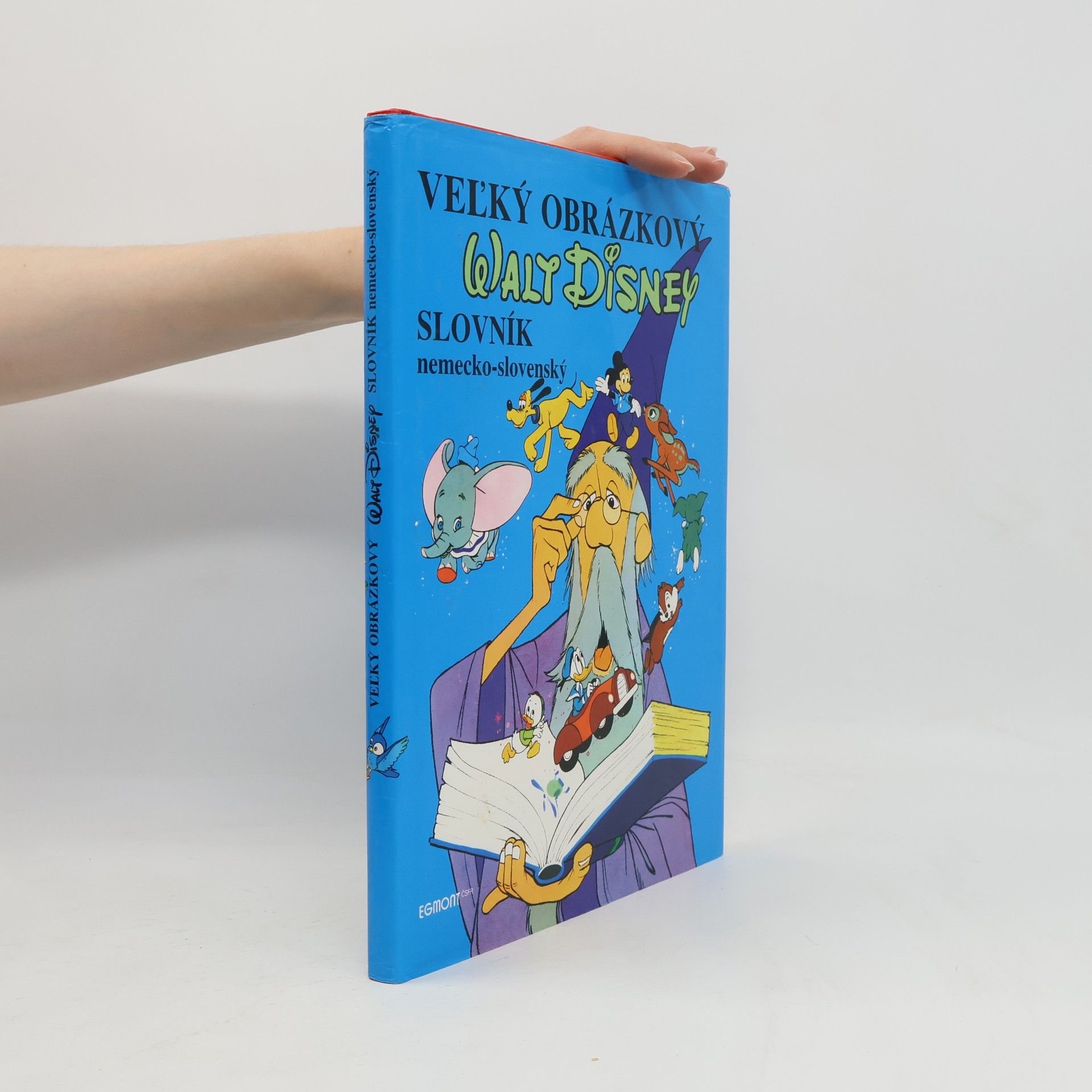 Various authors Veľký obrázkový Walt Disney slovník