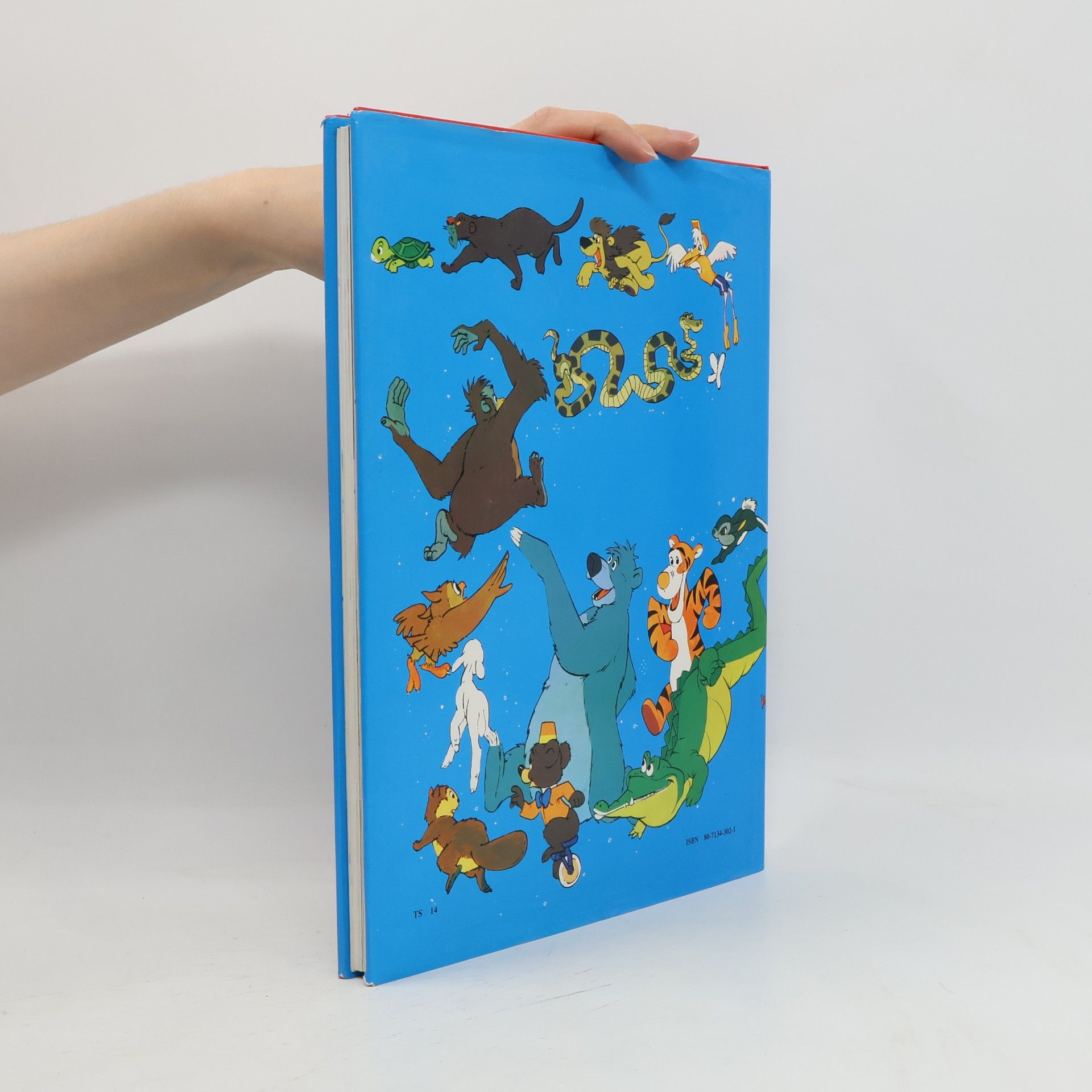 Various authors Veľký obrázkový Walt Disney slovník