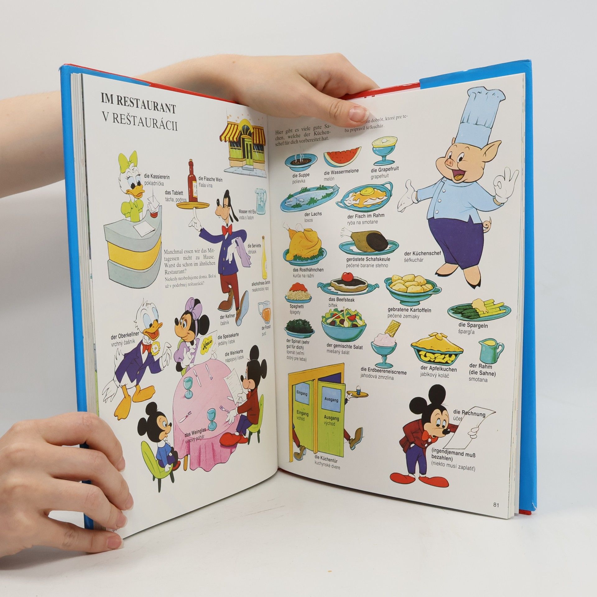 Various authors Veľký obrázkový Walt Disney slovník