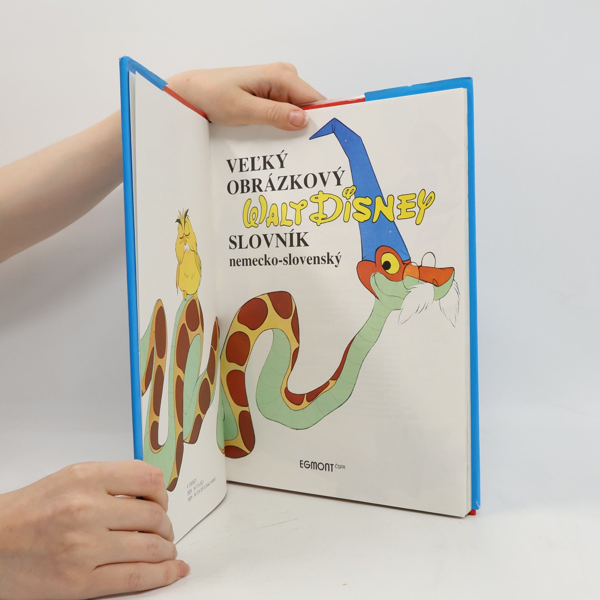 Various authors Veľký obrázkový Walt Disney slovník