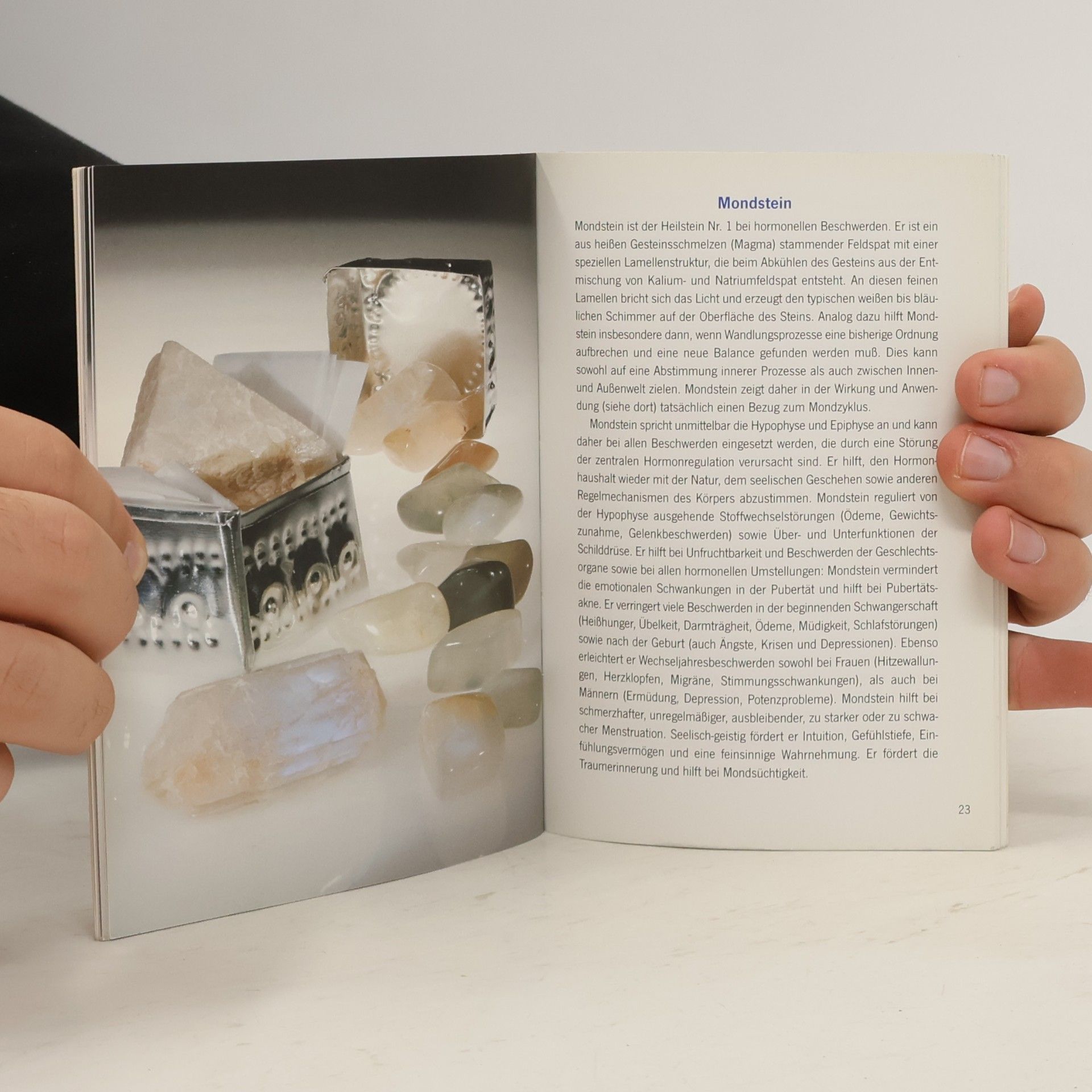 Michael Gienger Die Heilsteine-Taschenapotheke