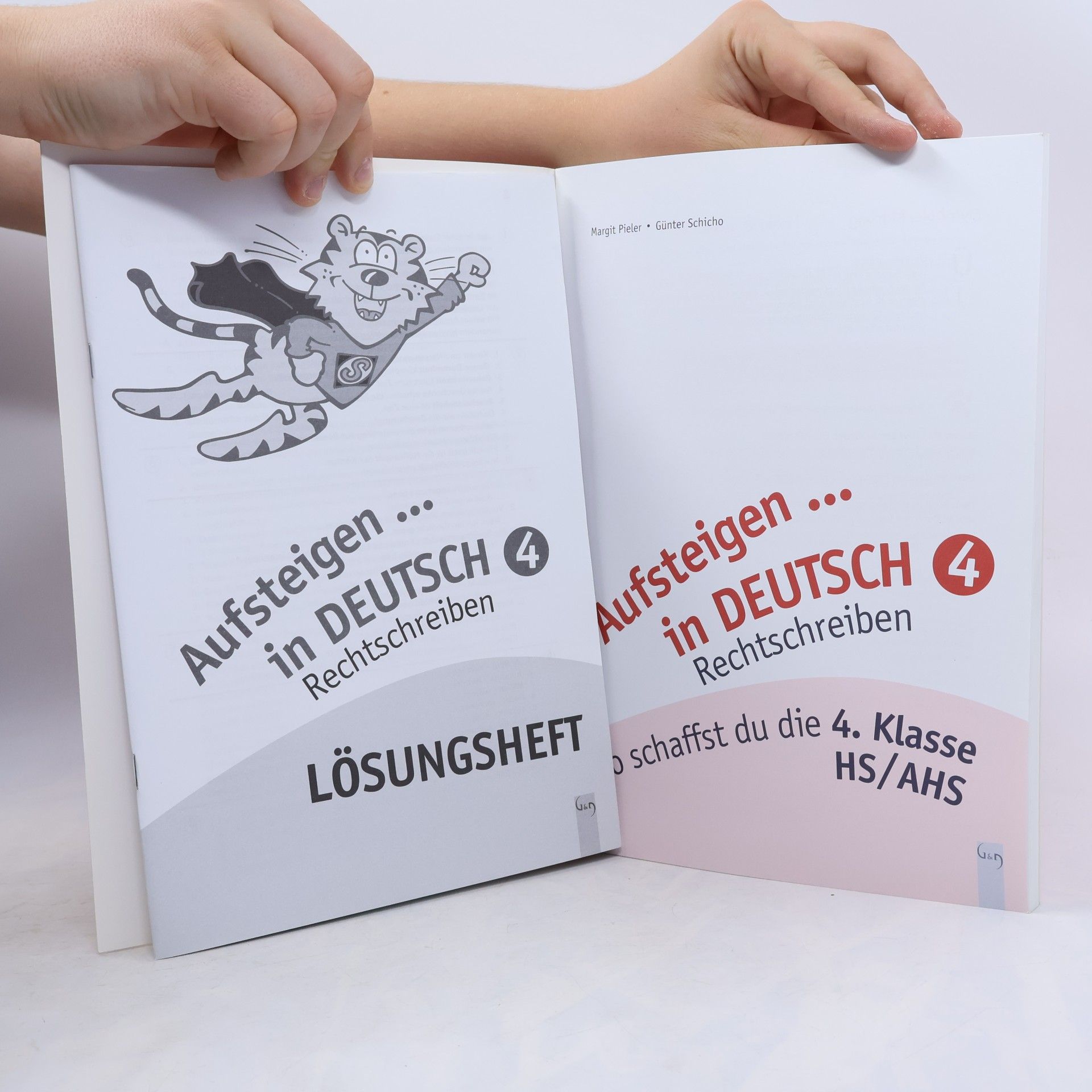 Margit Pieler Aufsteigen: Lernhilfen für HS/AHS Unterstufe und AHS Oberstufe - 4: Aufsteigen in Deutsch – Rechtschreiben