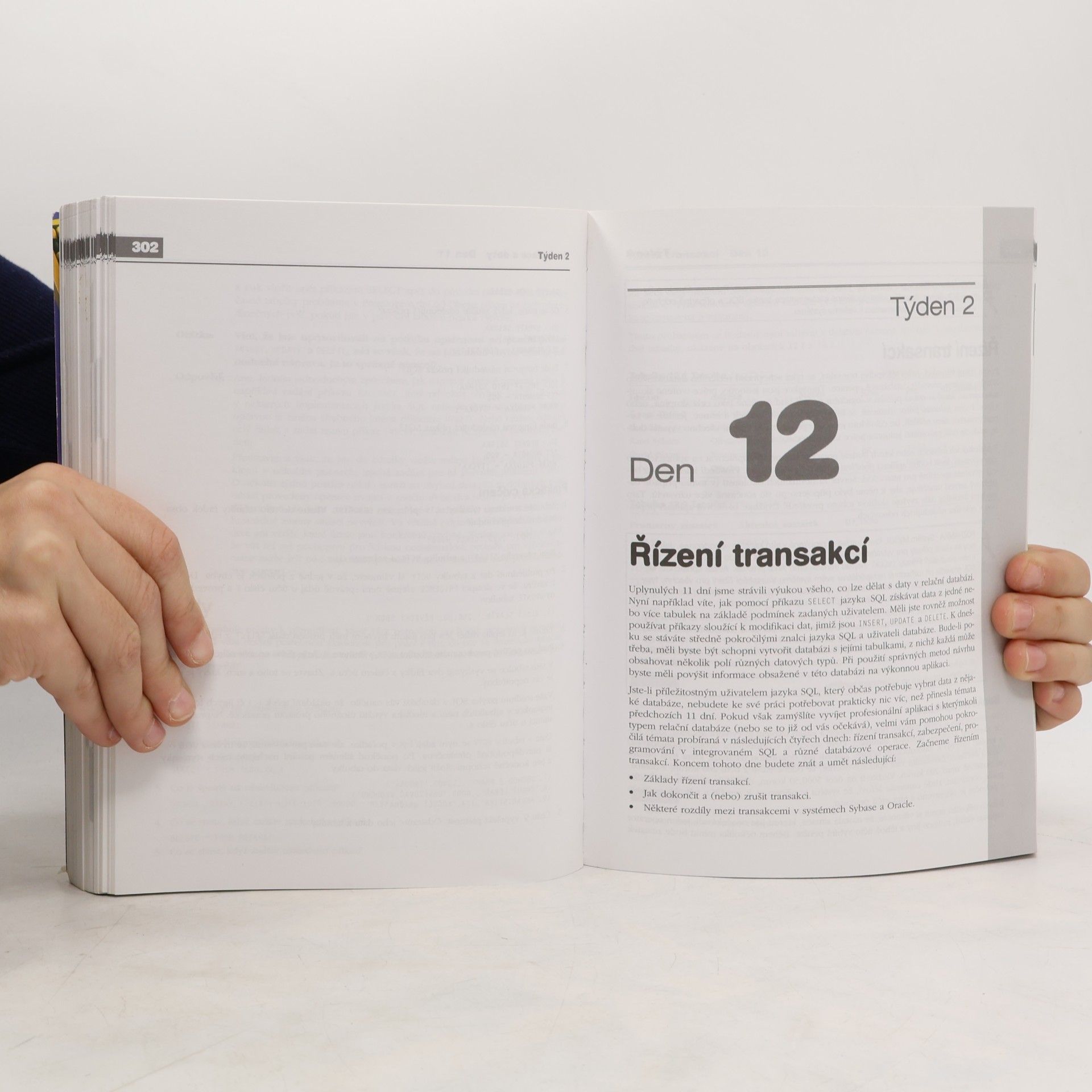 Ryan Stephens Naučte se SQL za 21 dní