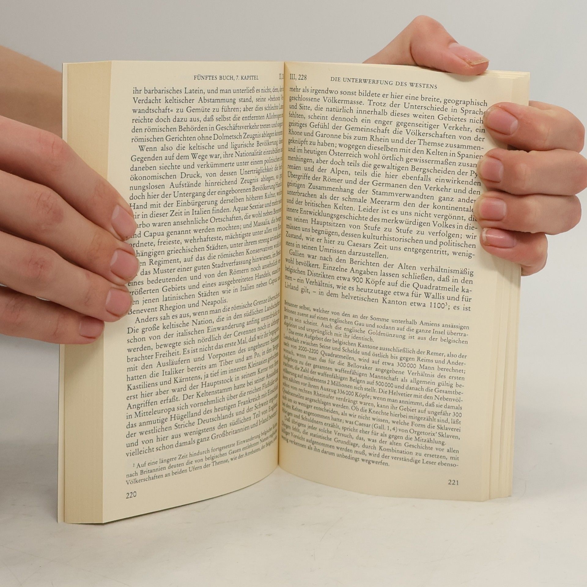 Theodor Mommsen Römische Geschichte 4