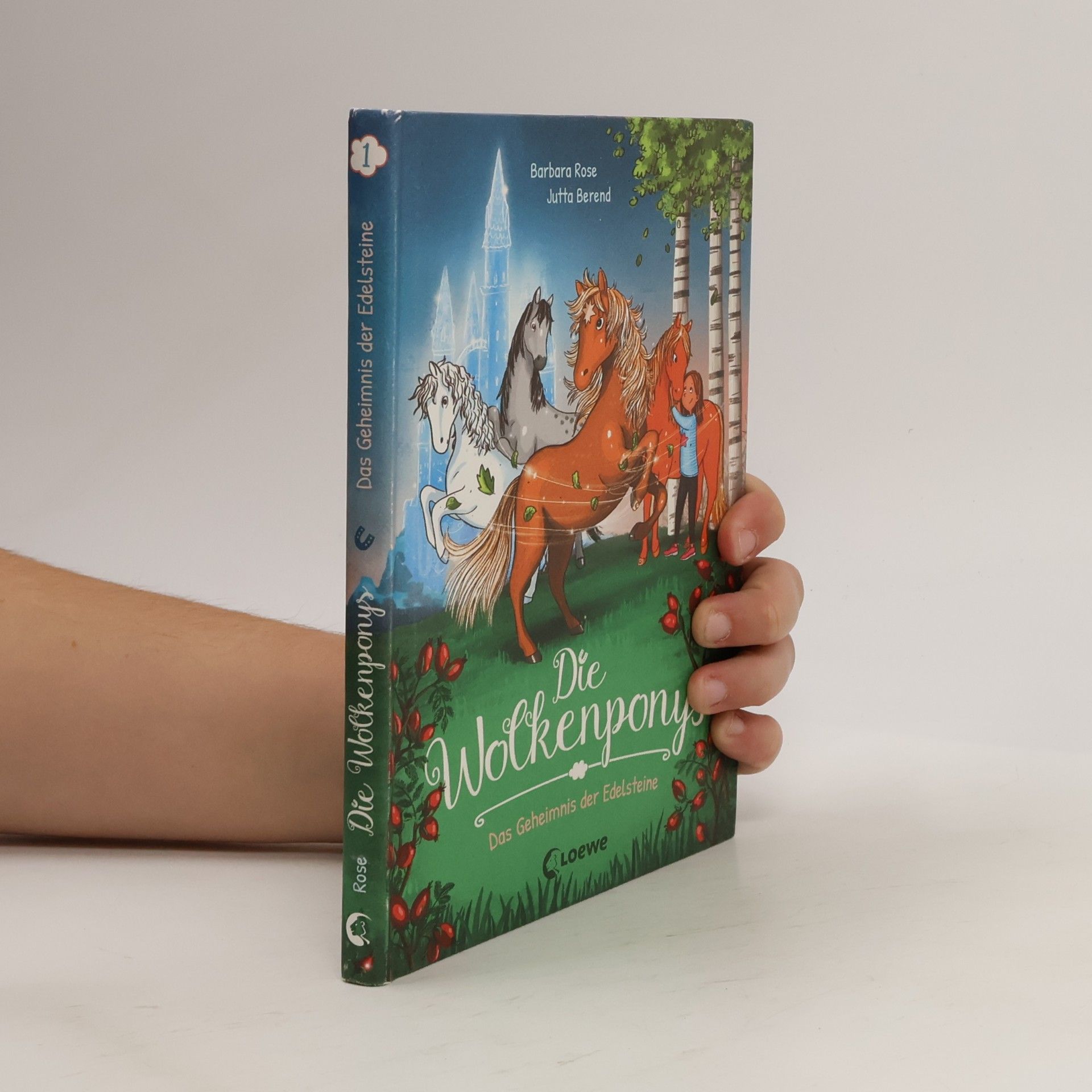 Die Wolkenponys (Band 1) - Das Geheimnis der Edelsteine