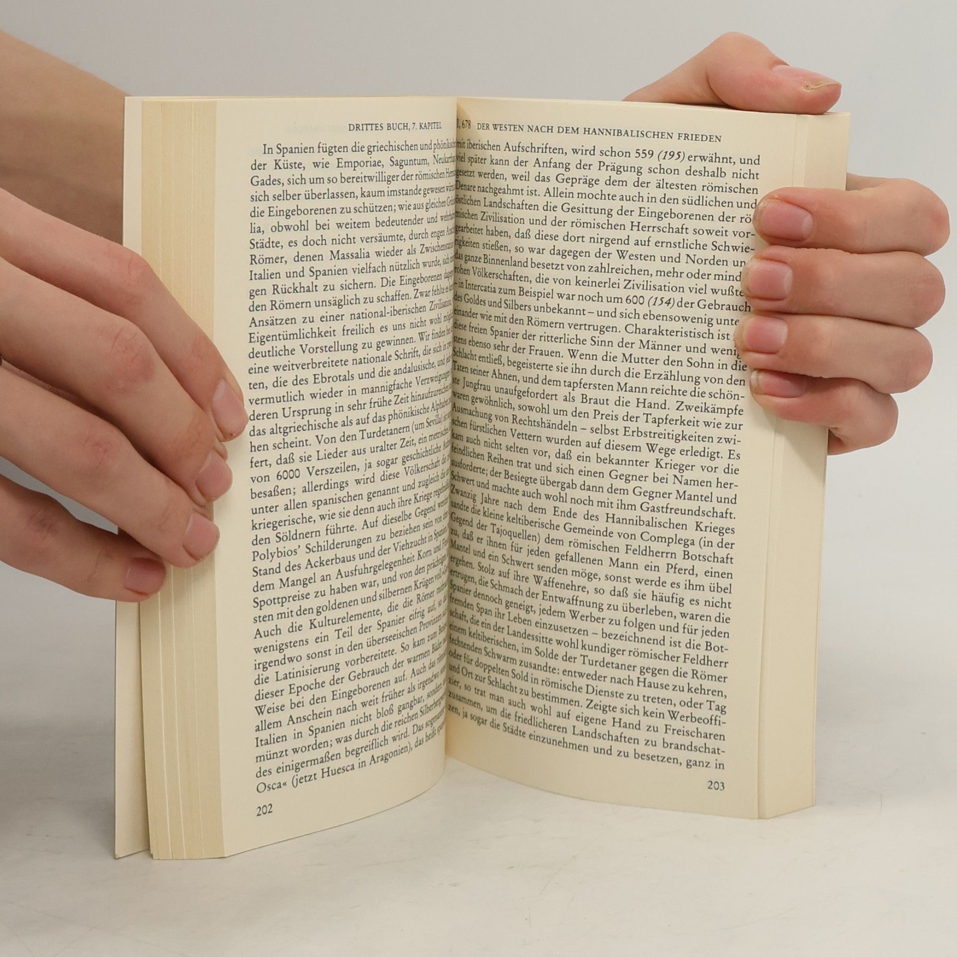 Theodor Mommsen Römische Geschichte