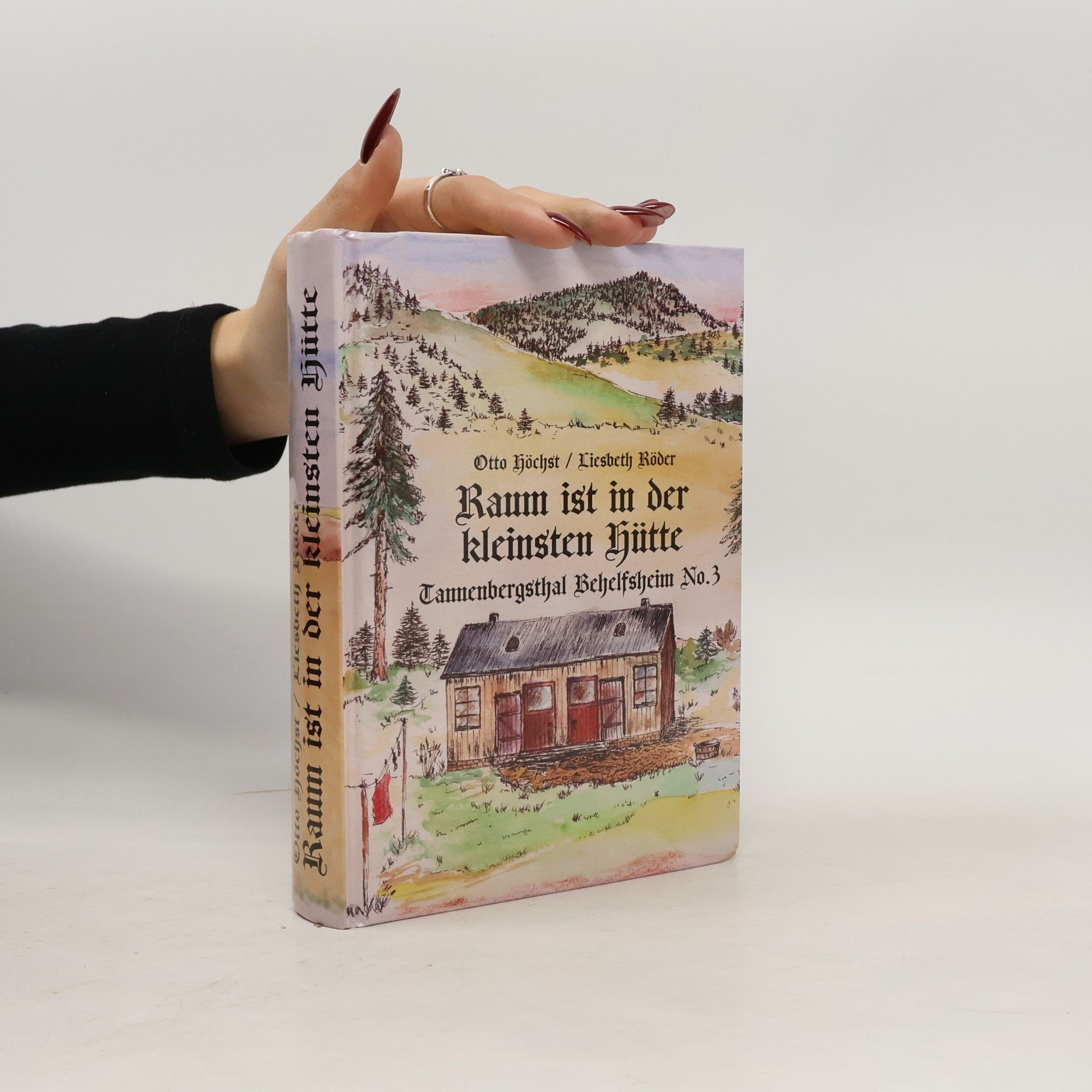Otto Höchst Tannenbergsthal Behelfsheim - 3: Raum ist in der kleinsten Hütte