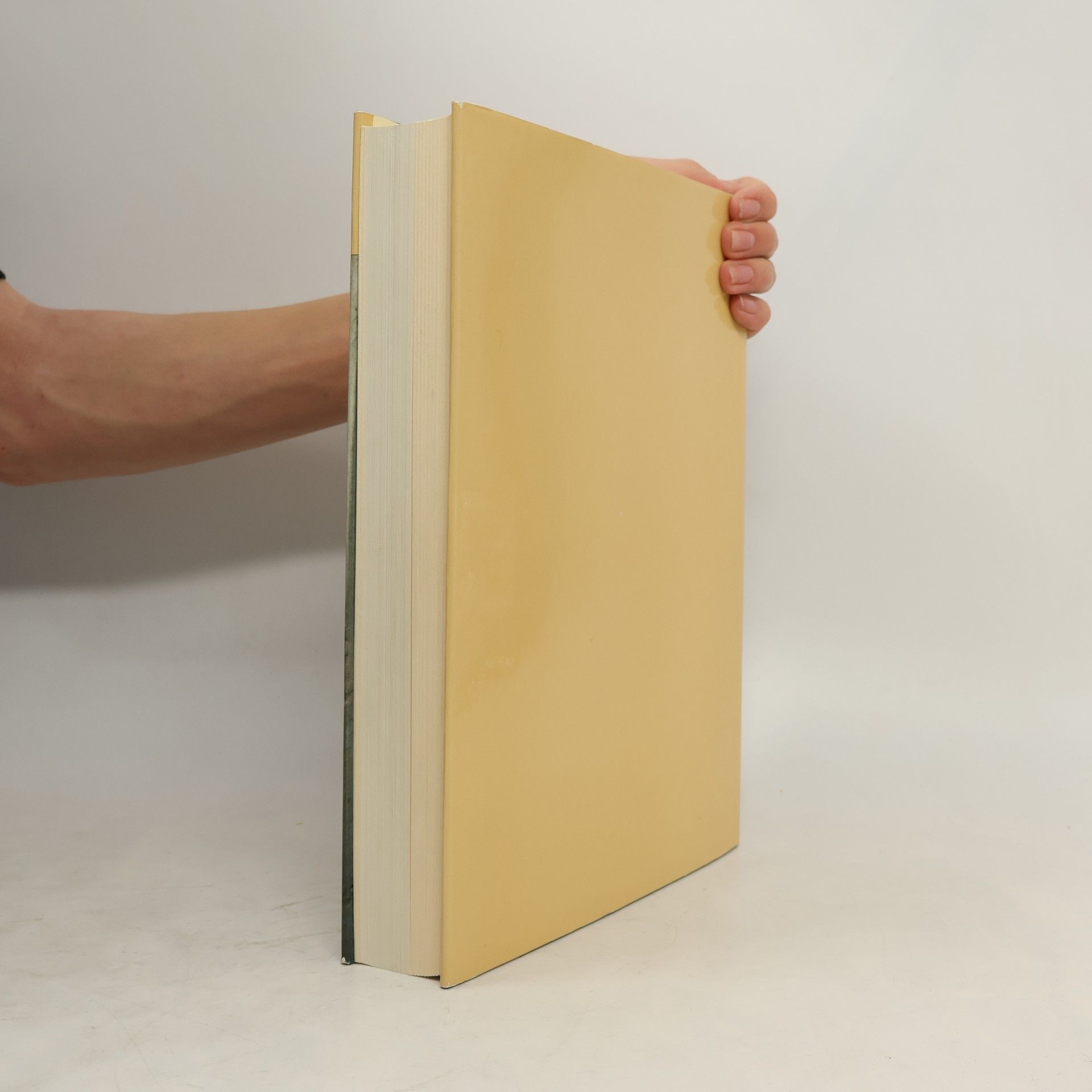 Max Hirmer Ägypten. Architektur, Plastik, Malerei in drei Jahrtausenden
