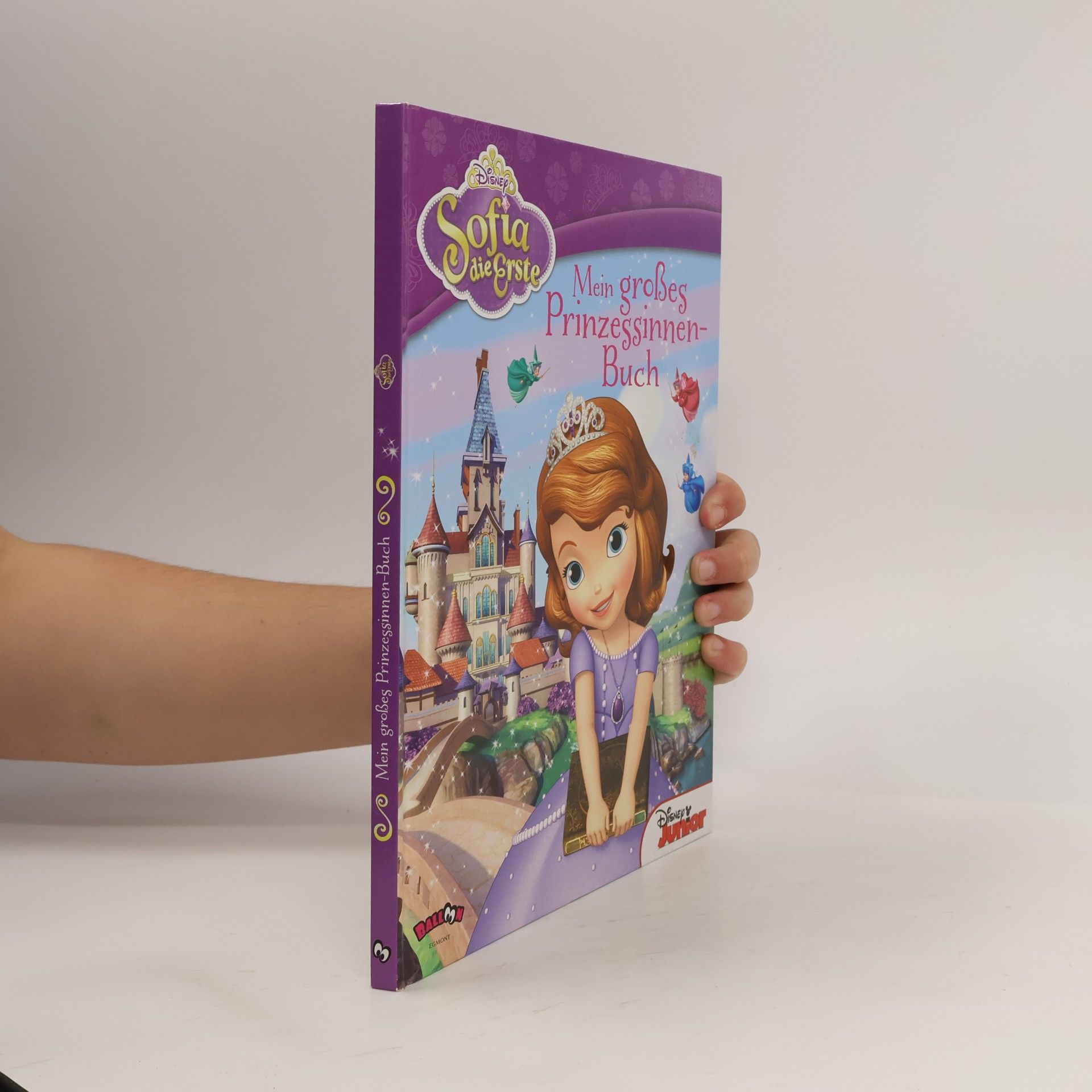 Sofia die Erste: Mein großes Prinzessinnen-Buch