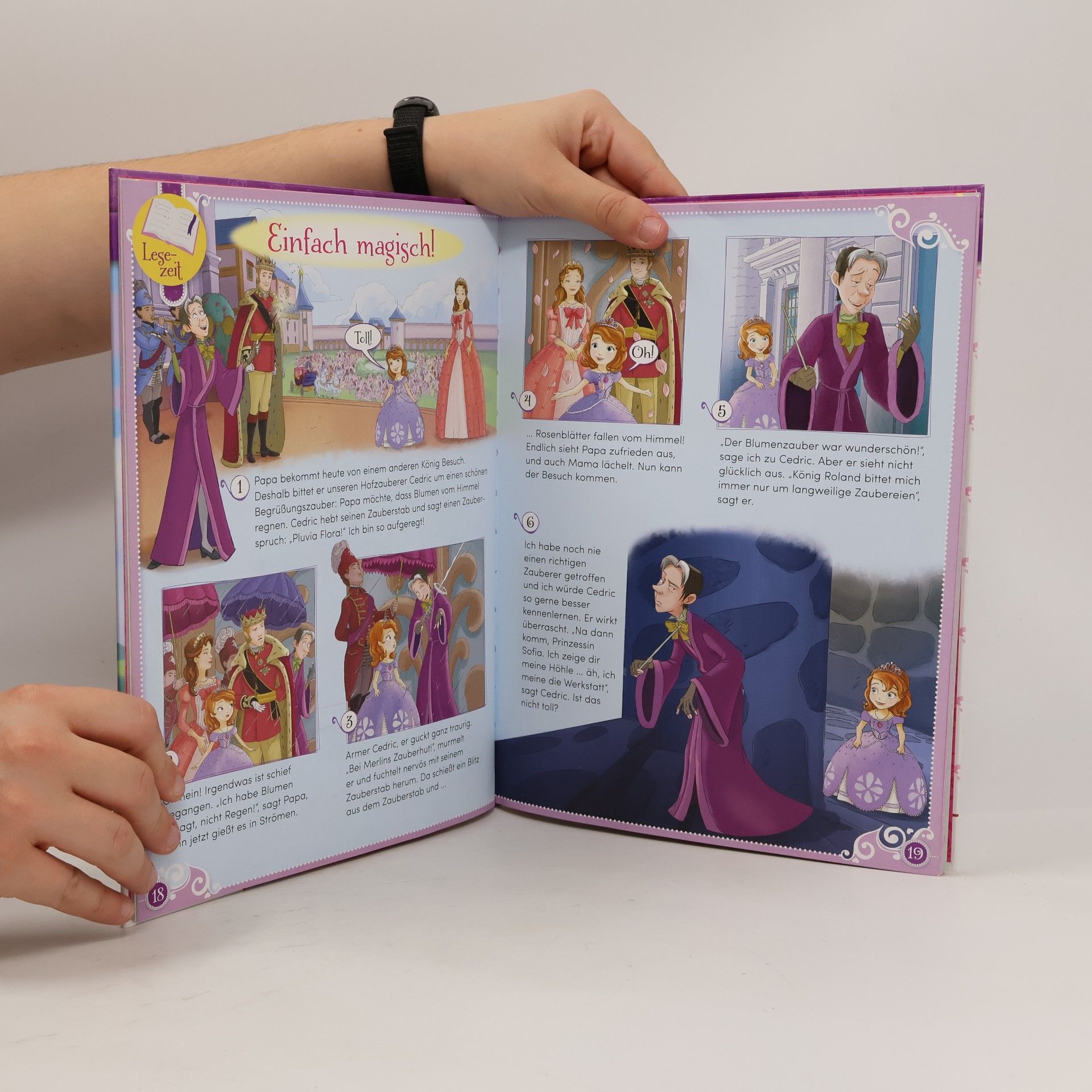 Sofia die Erste: Mein großes Prinzessinnen-Buch