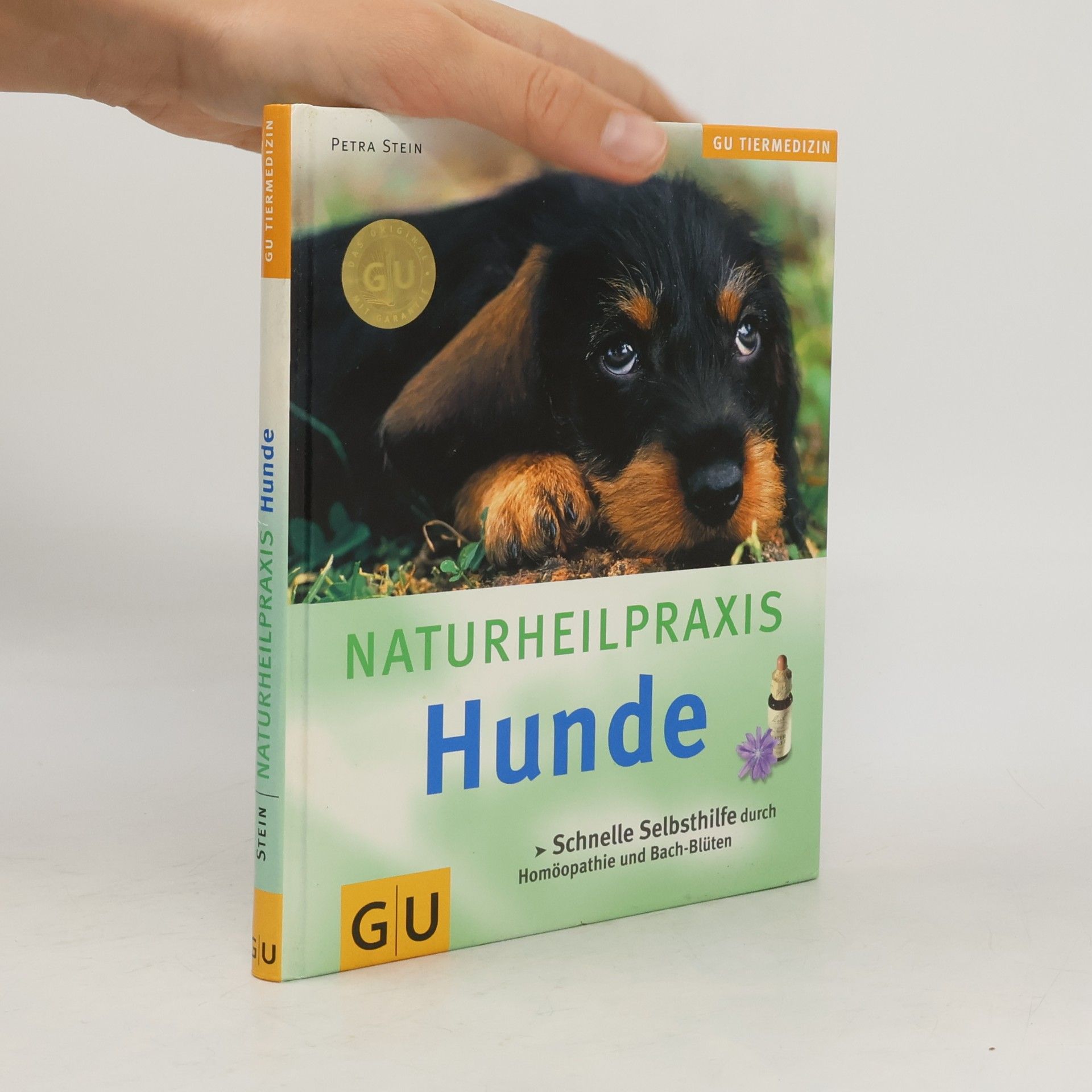 Petra Stein NaturheilPraxis Hunde