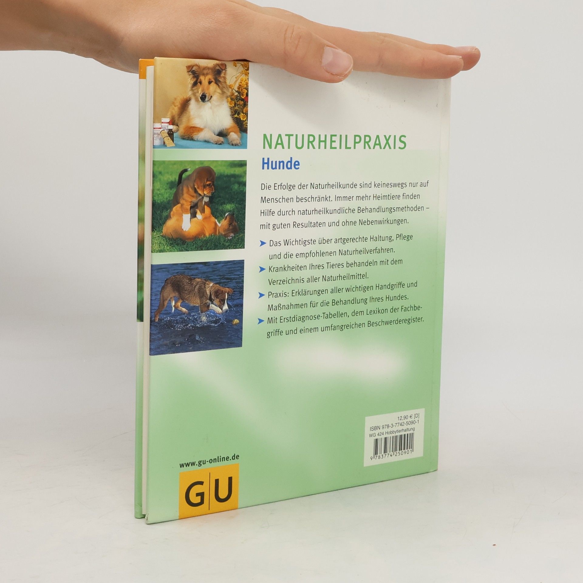 Petra Stein NaturheilPraxis Hunde