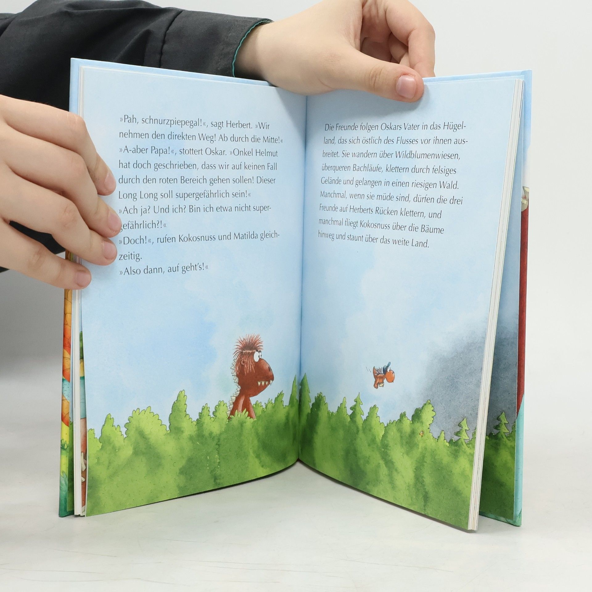 Ingo Seigner Der kleine Drache Kokosnuss und der chinesische Drache