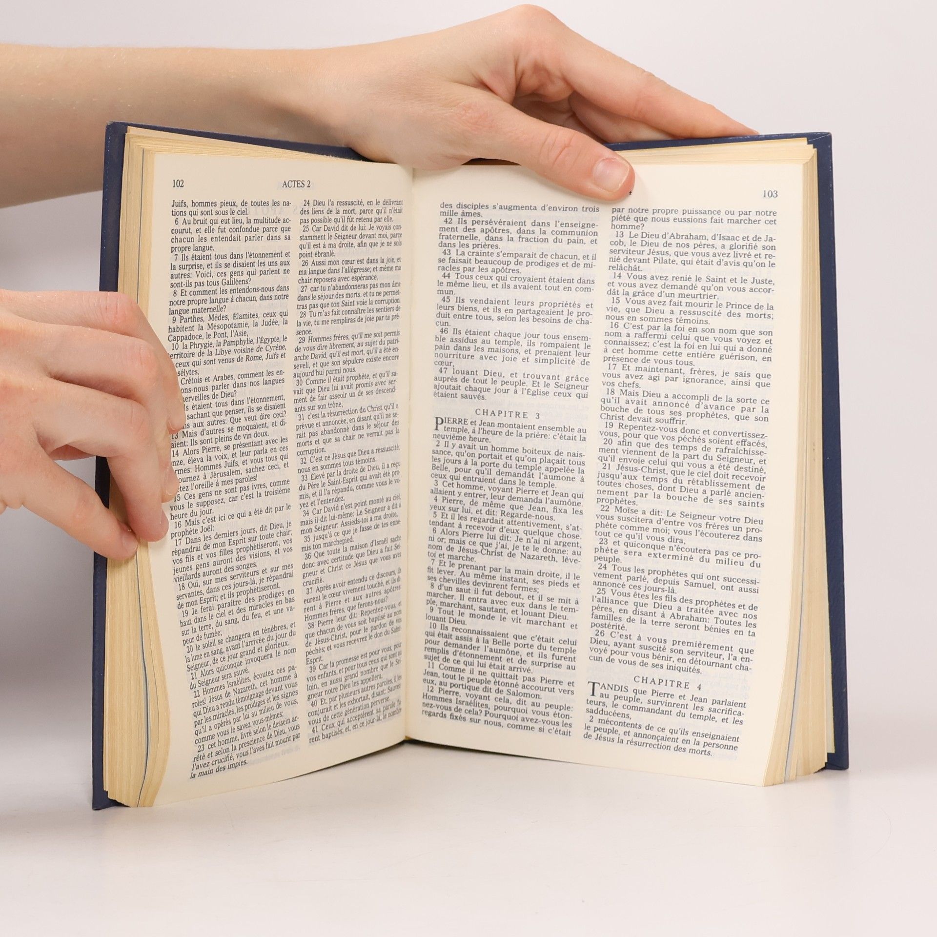 koletiv Het Nieuwe Testament, The New Testament, Das Neue Testament, Le Nouveau Testament