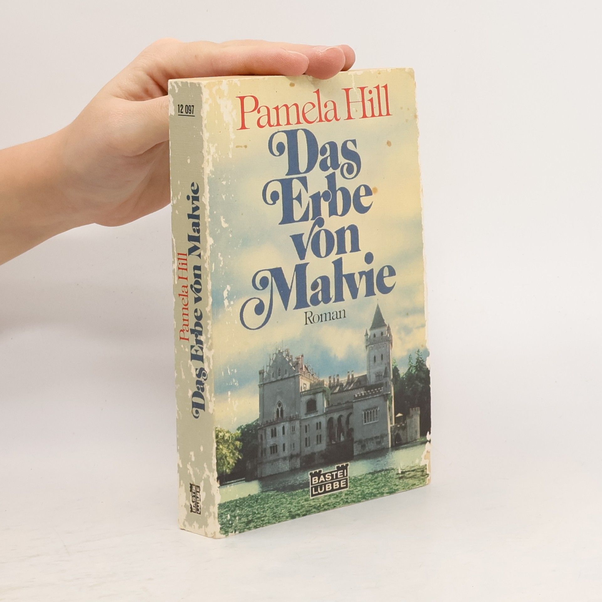 Pamela Hill Das Erbe von Malvie