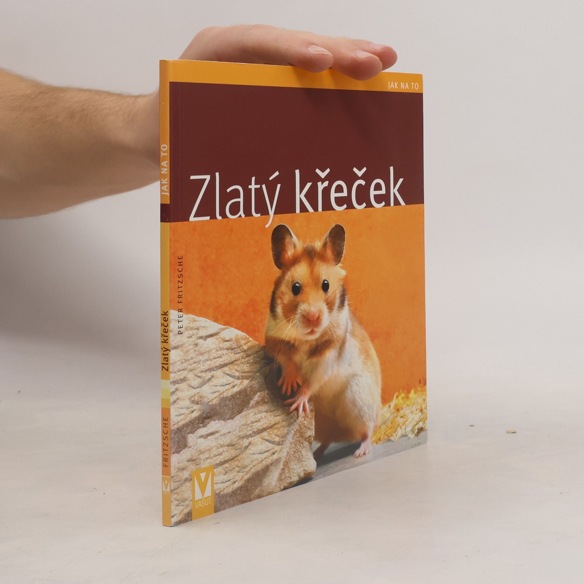 Zlatý křeček