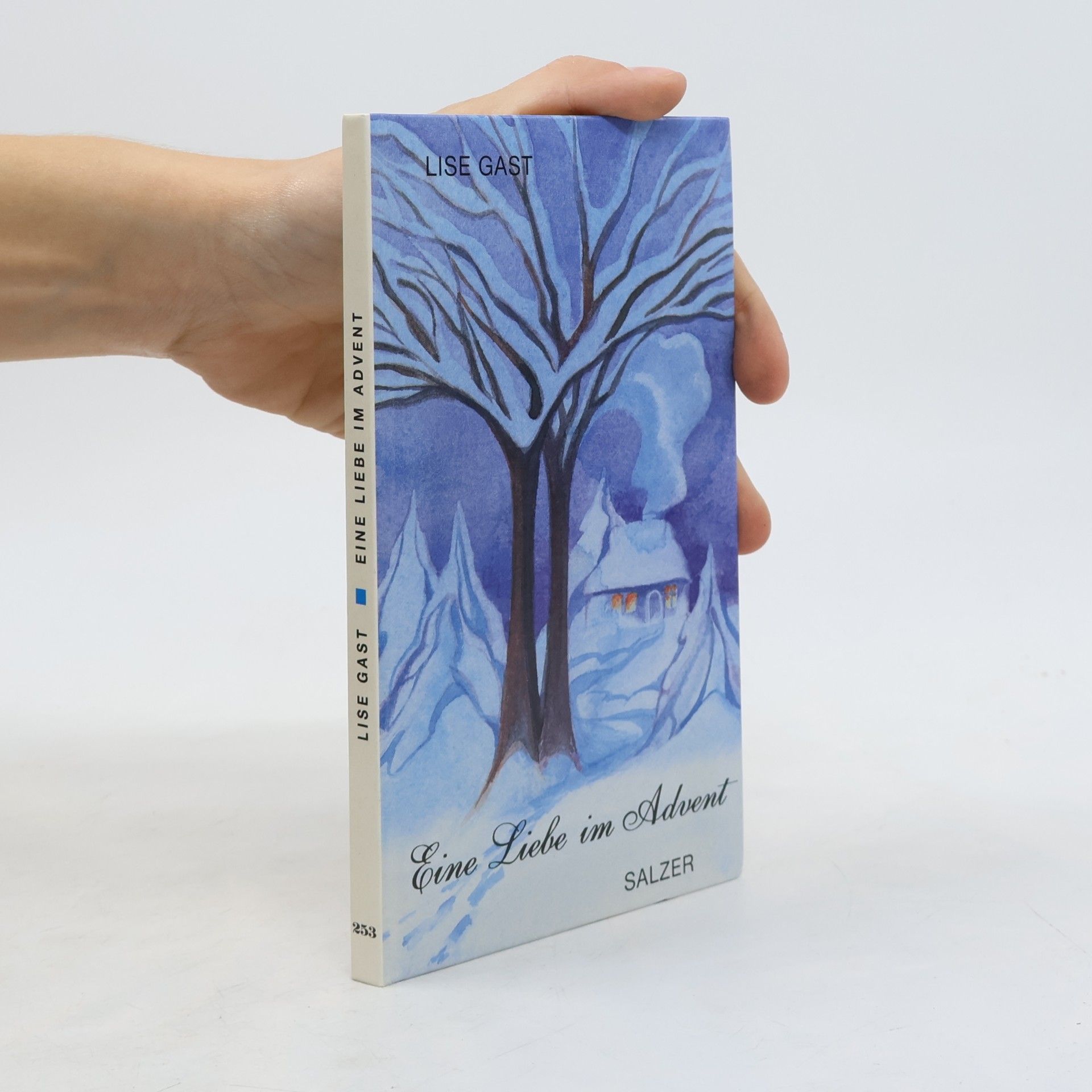 Lise Gast Eine Liebe im Advent