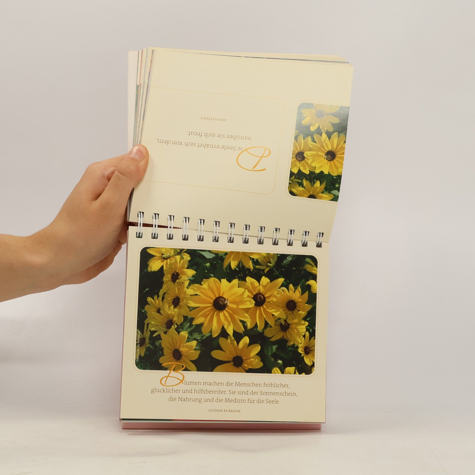 Ursula Kohaupt Blumengrüße: Aufstellbuch
