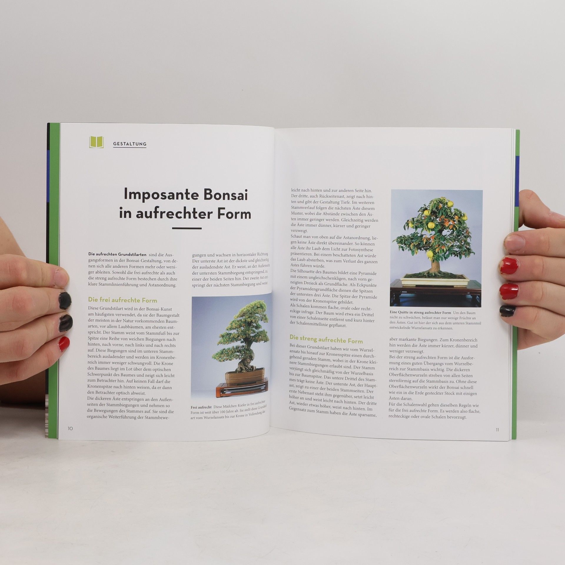 Horst Stahl Bonsai