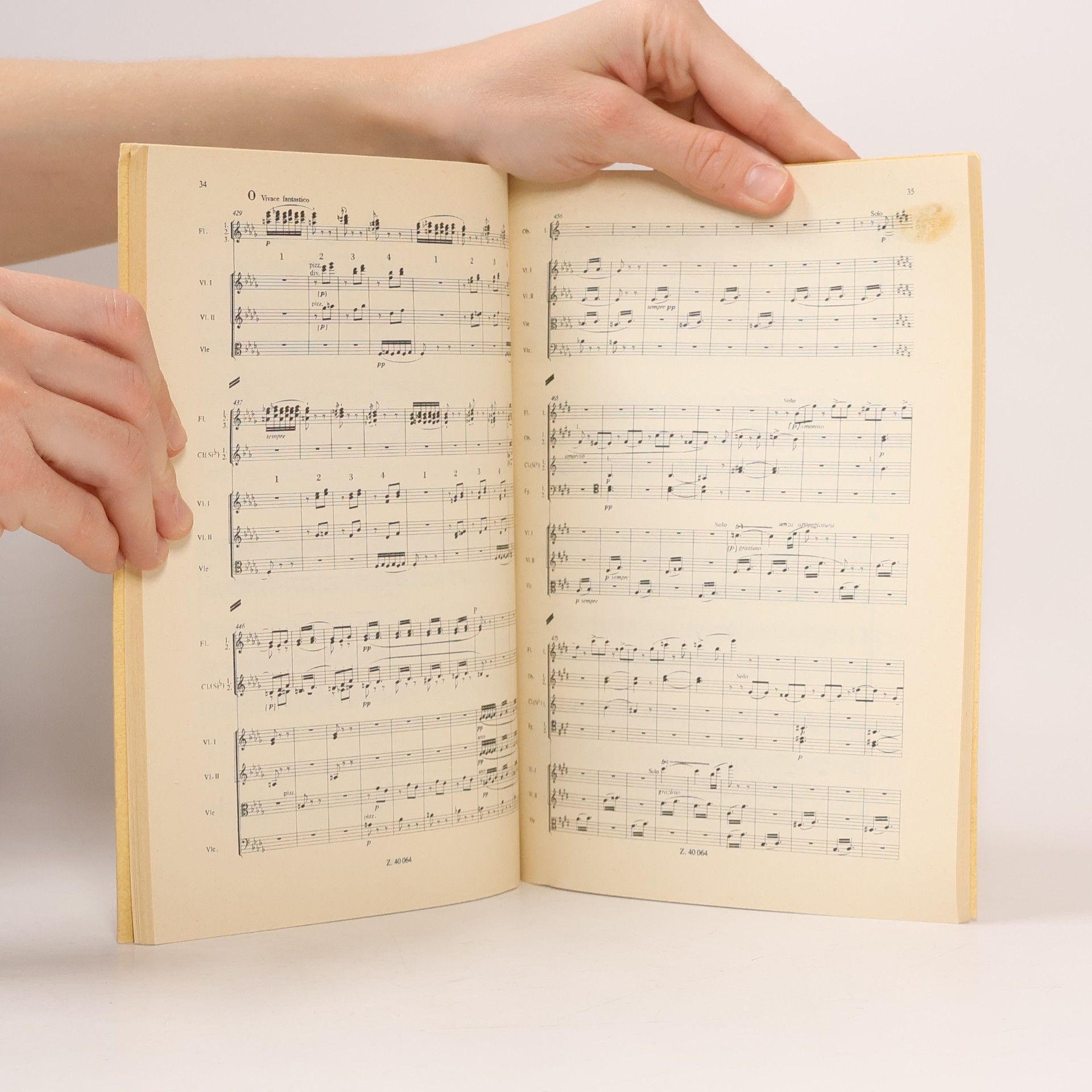 Liszt Mephistos Walzer