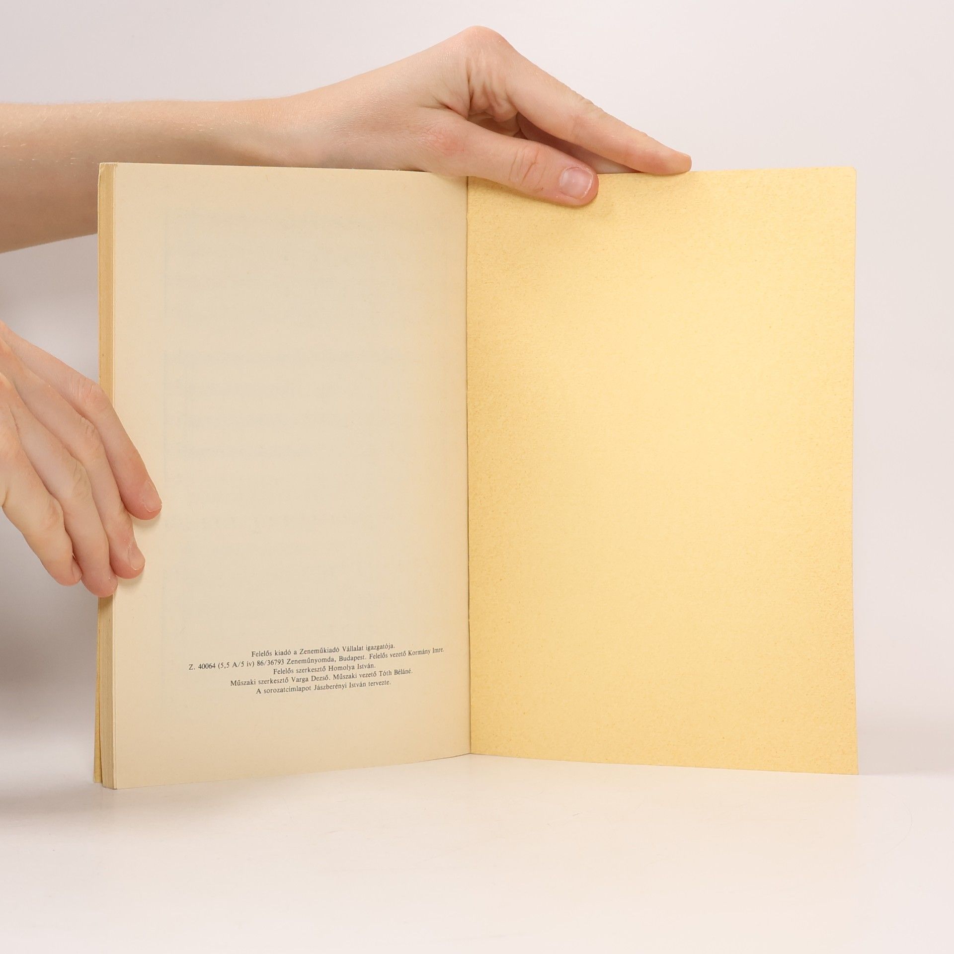 Liszt Mephistos Walzer