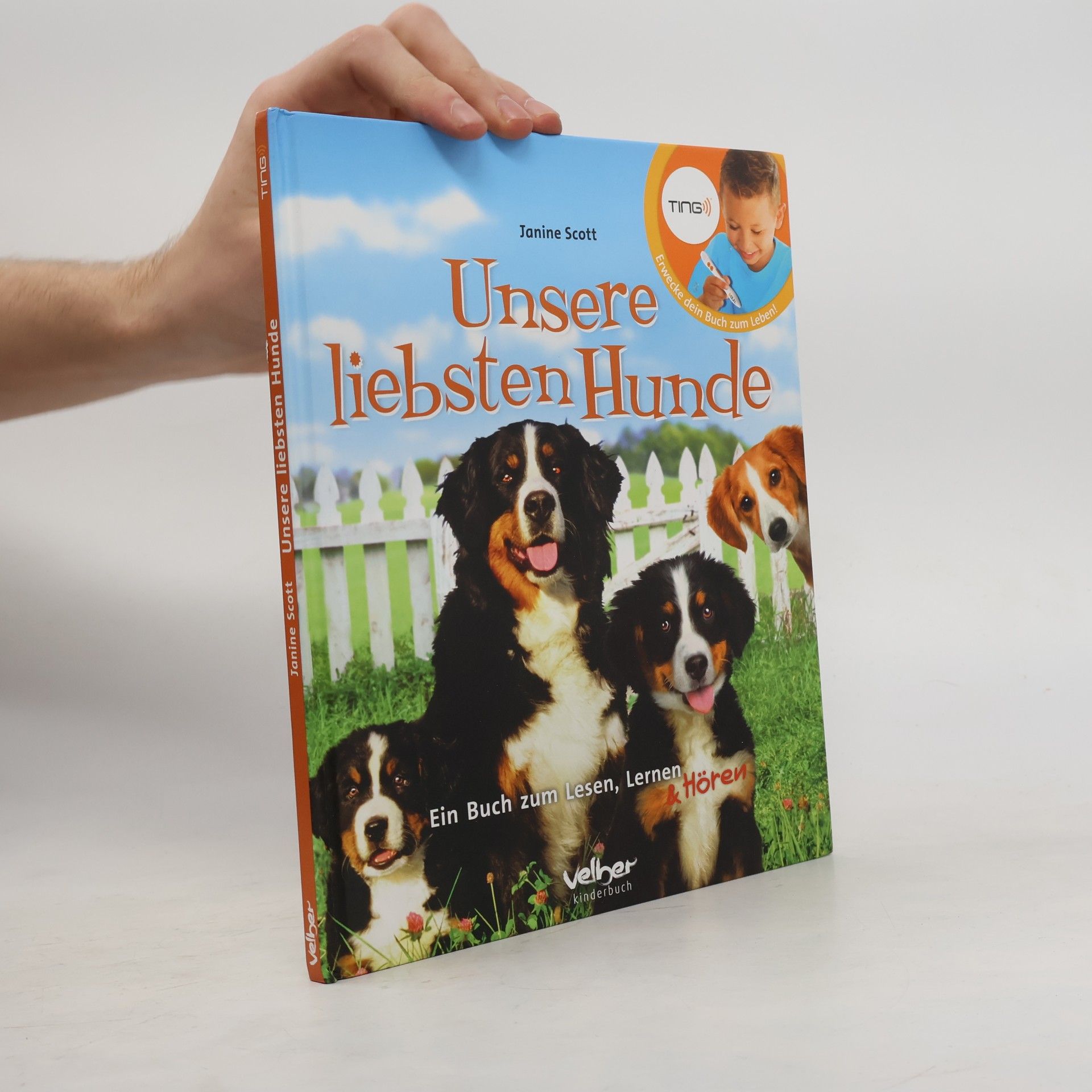 Unsere liebsten Hunde