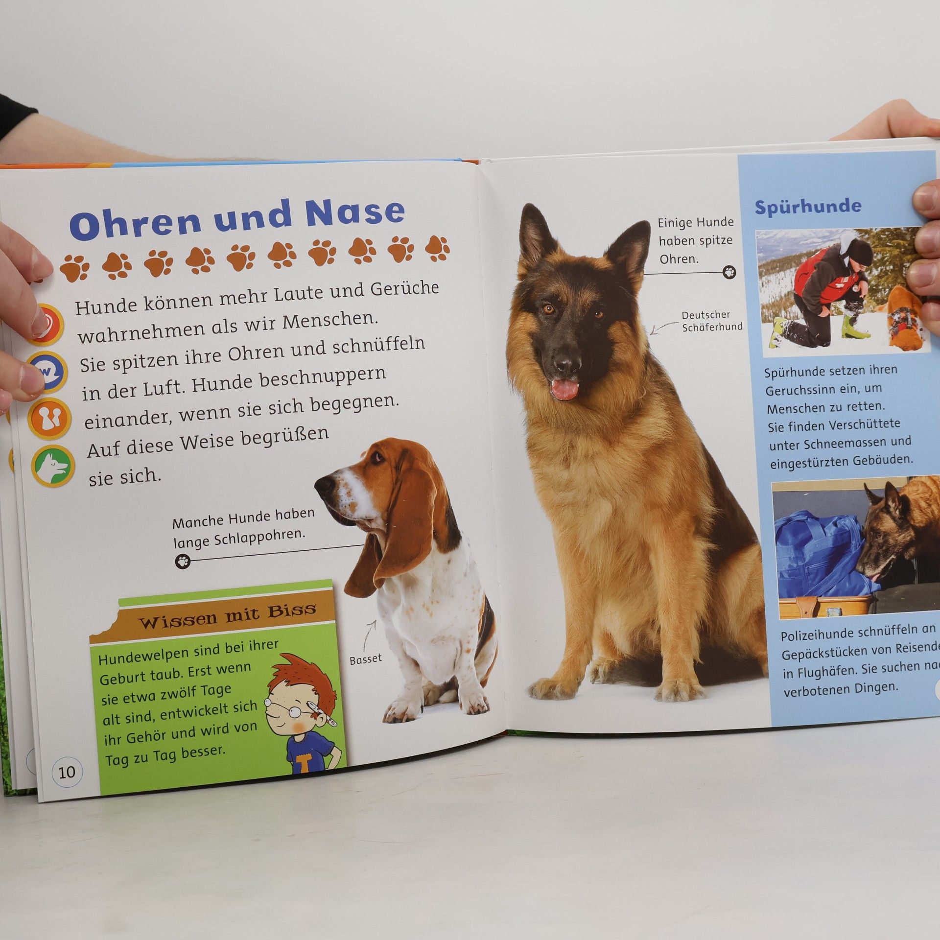 Janine Scott Unsere liebsten Hunde